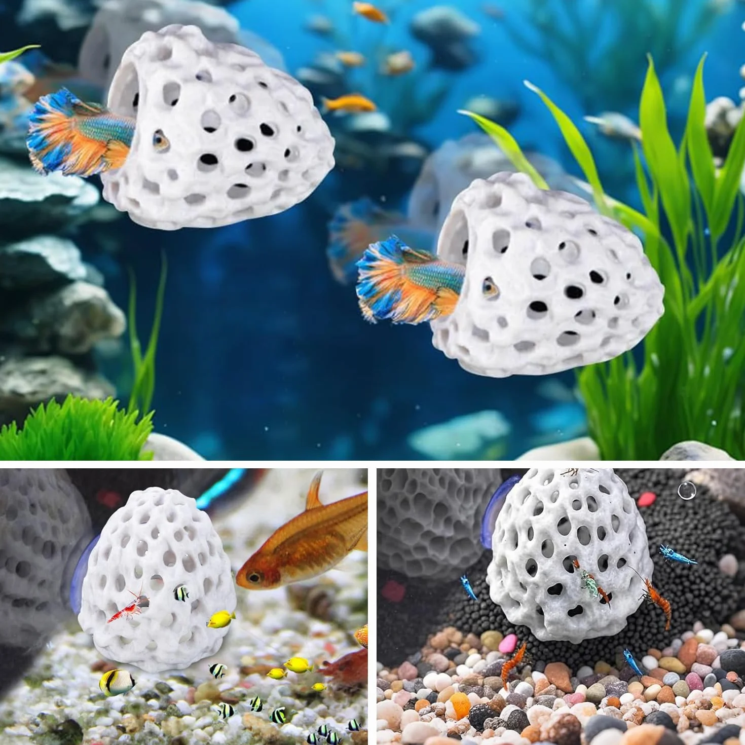 2 Pezzi Nascondiglio Per Pesci Betta, Nascondiglio Per Gamberetti in Plastica, Casetta Per Gamberetti, Per Piccoli Pesci, Gamberetti e Guppy Dove Nascondersi e Riposare, Bianco