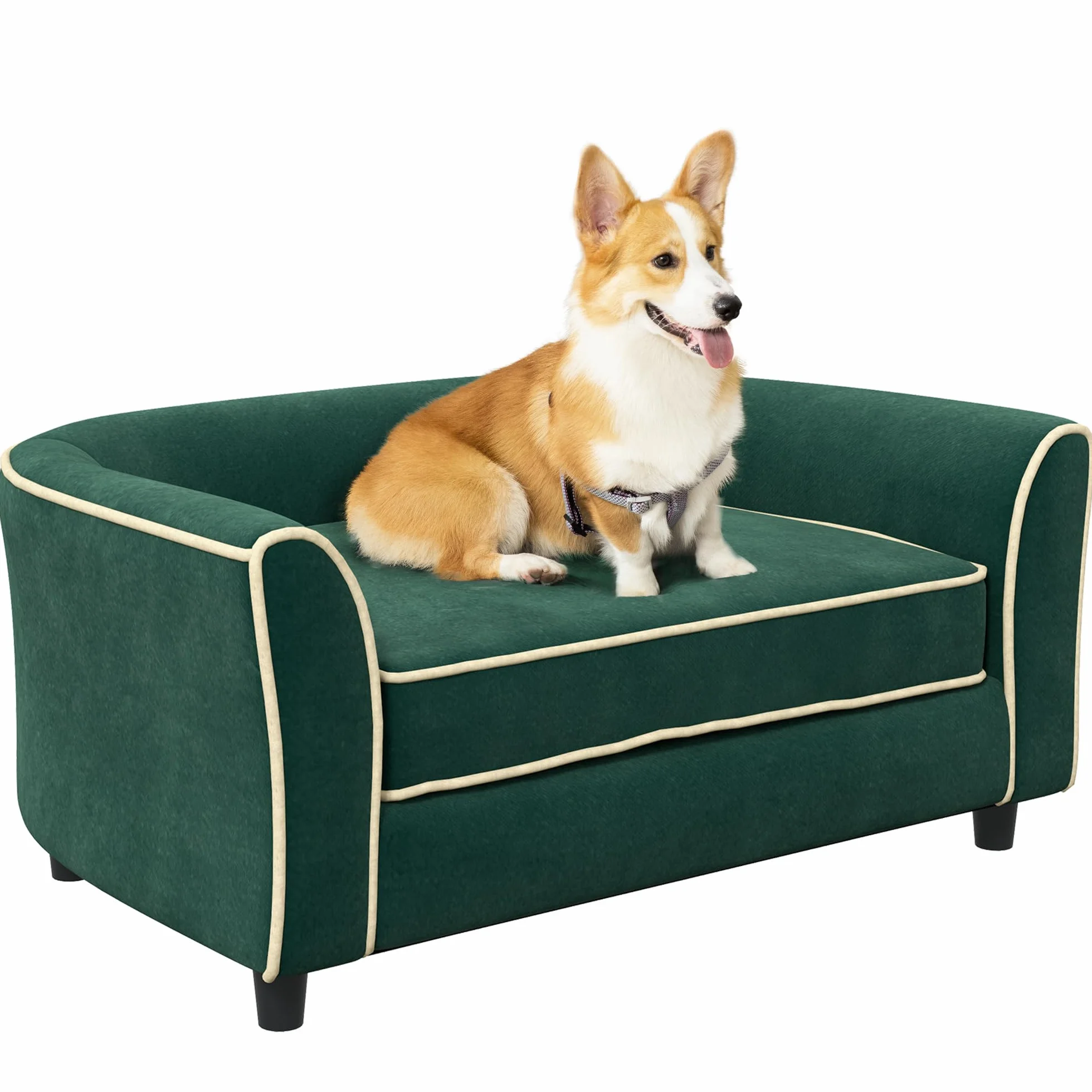 PawHut Divano per Cani Taglia Piccola e Media Elegante con Cuscino, Divanetto per Cani in Tessuto Effetto Velluto e Legno, 79x56x35 cm, Verde Scuro