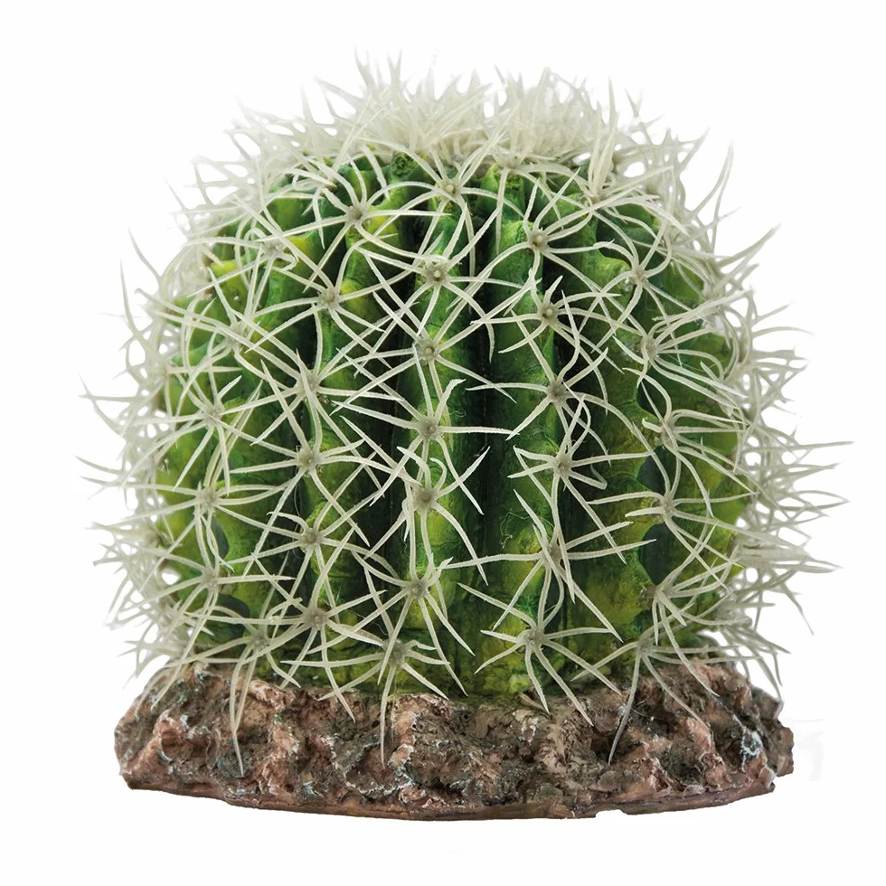 Cactus Sonora M I 15 x 15 x 13 cm Terrarium Hobby Terraristica