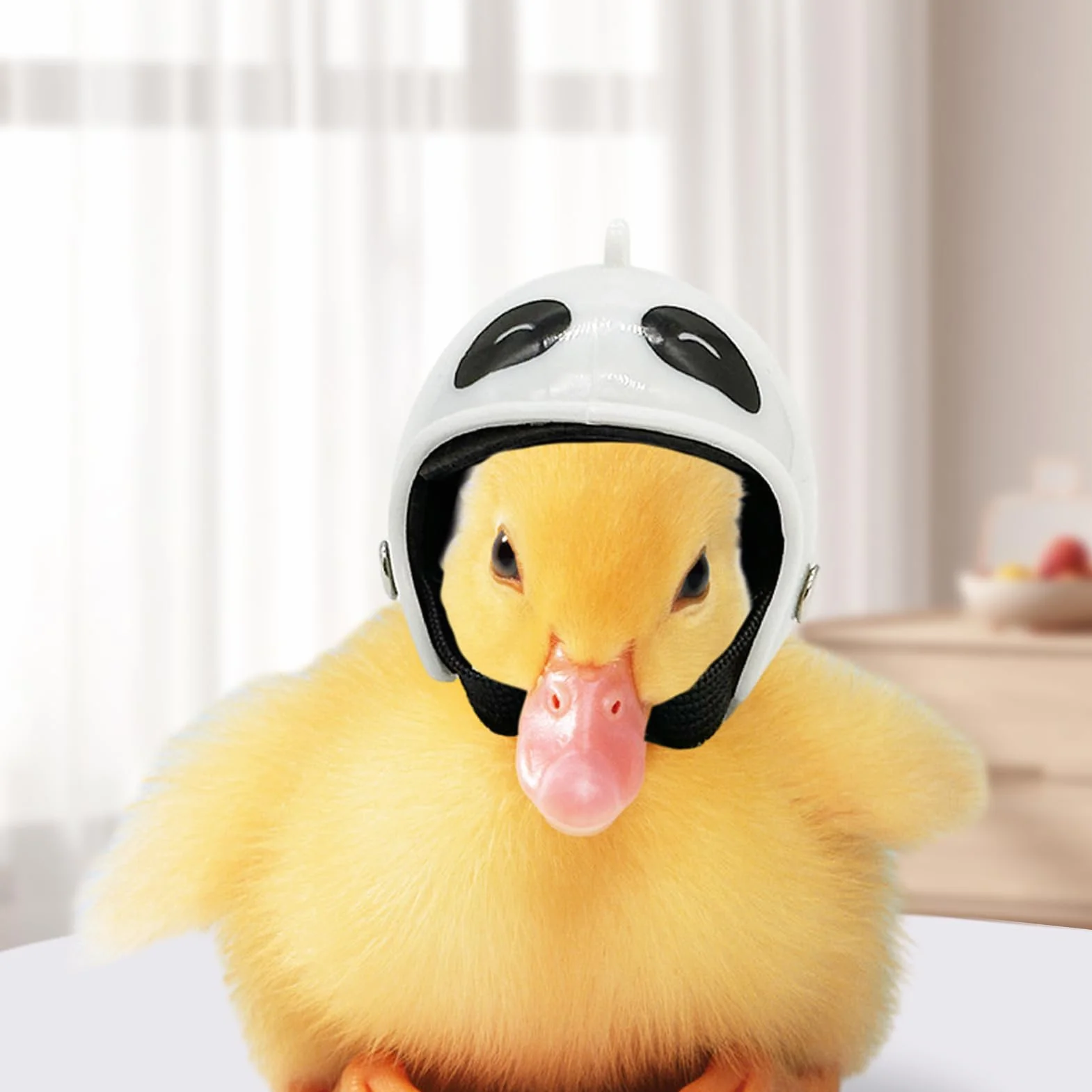 Cappelli di pollo, Cappello di gallina | Cappelli di protezione per uccelli di gallina - Cappelli di Pollo di Sicurezza Regolabili, Protezione Testa Giocattolo di Uccello