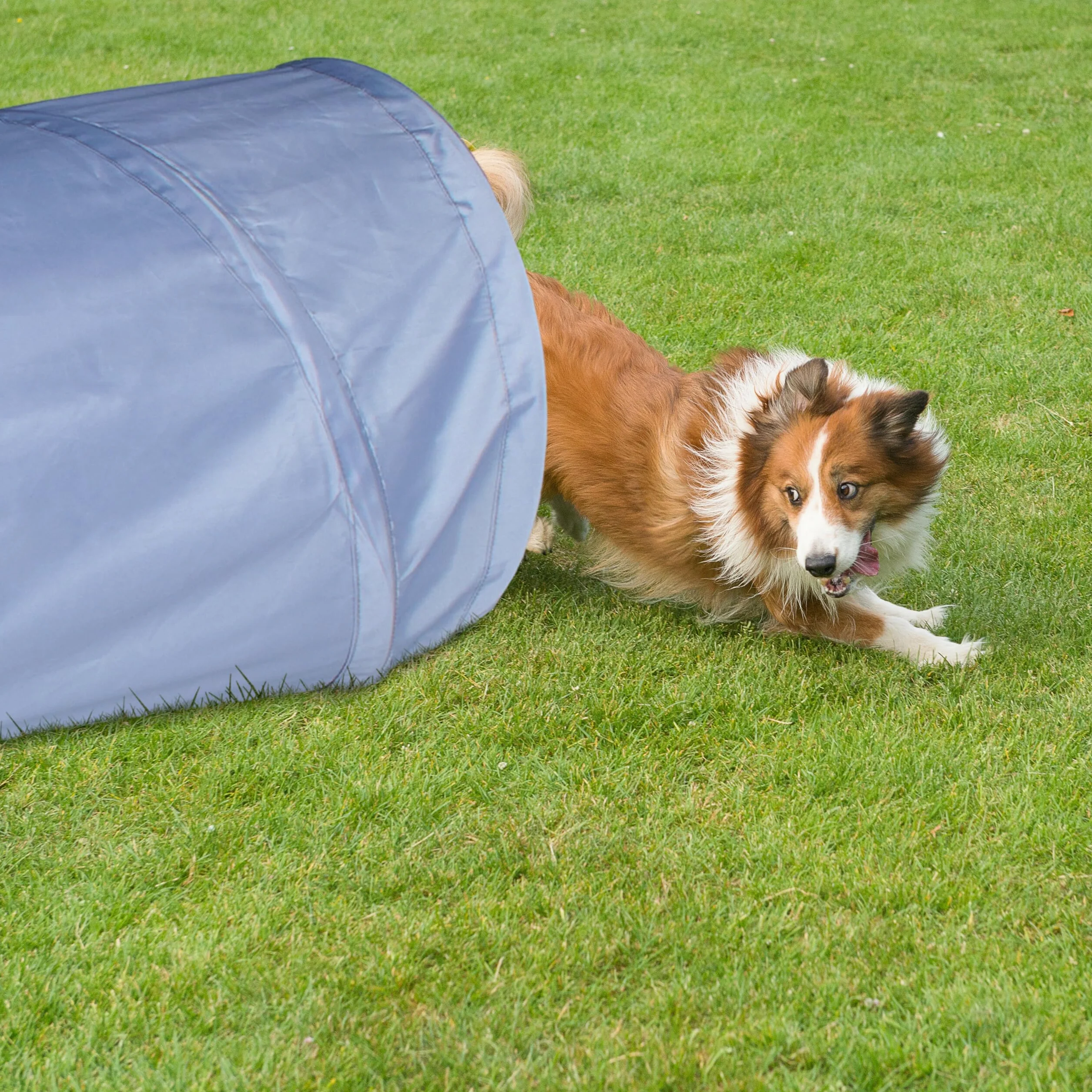 Relaxdays Tunnel per Cani, Tubo da 200 cm Pieghevole, Attrezzatura Agility Dog, Addestramento a Ostacoli, Ø 40cm, Grigio