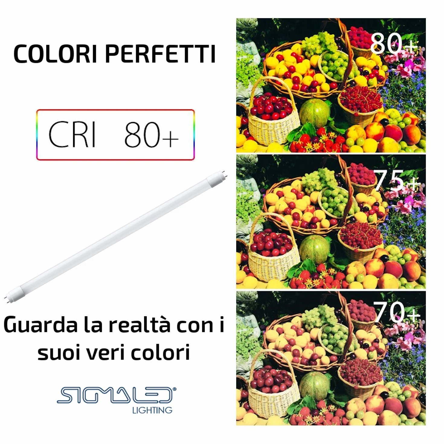 Sigmaled lighting - TUBO LED T8 G13 60cm 9W PROFESSIONALE - Alta efficienza 1170lm (130lm/W) - Luce bianca FREDDA 6000K - Sostituisce neon 18W - Fascio 300° - LED starter fornito - PACK da 10