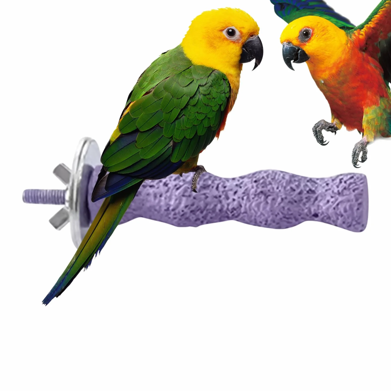 Posatoi Per Uccelli Per Gabbia,Posatoio per Gabbia Pappagallini | Giocattolo per Unghie per Pappagalli Cocorite Calopsite Inseparabili Attività Addestramento Animali Domestici Gioco Esterno