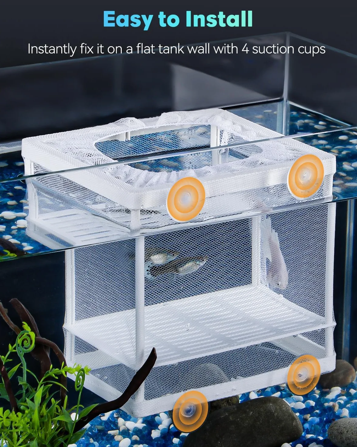 Pawfly Rete di separazione per acquario, pesce con rete di nylon e ventose, piccola scatola isolante per cagliata, contenitore per allevamento di pesci giovani e gamberetti