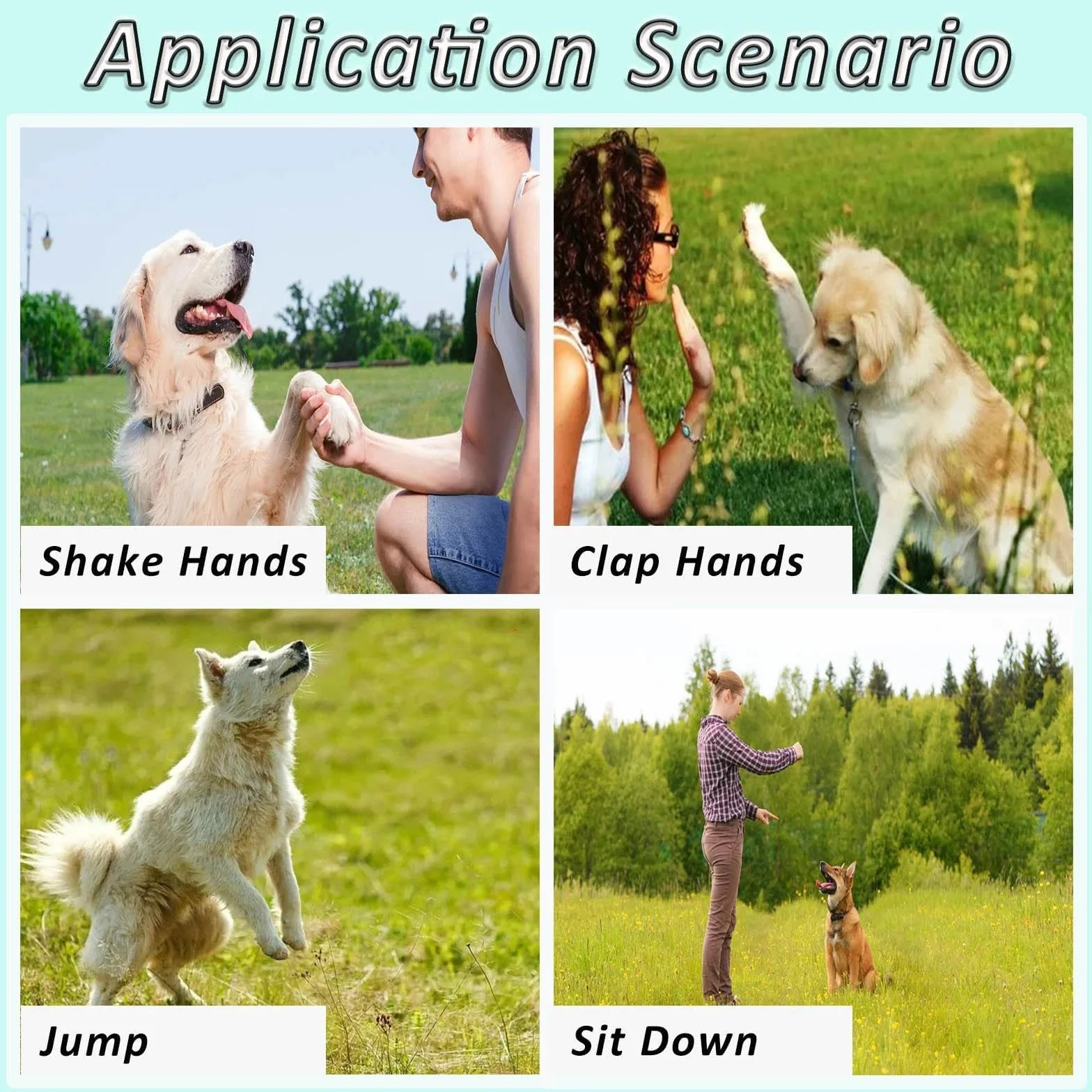 2 Pack Fischietto per Cani, Silenzioso Fischietto Ultrasuoni per Cani Richiamo, Alta Frequenza, Regolabile Fischietto Antiabbaio con Cordoncino, Adatto per La Maggior Parte delle Razze