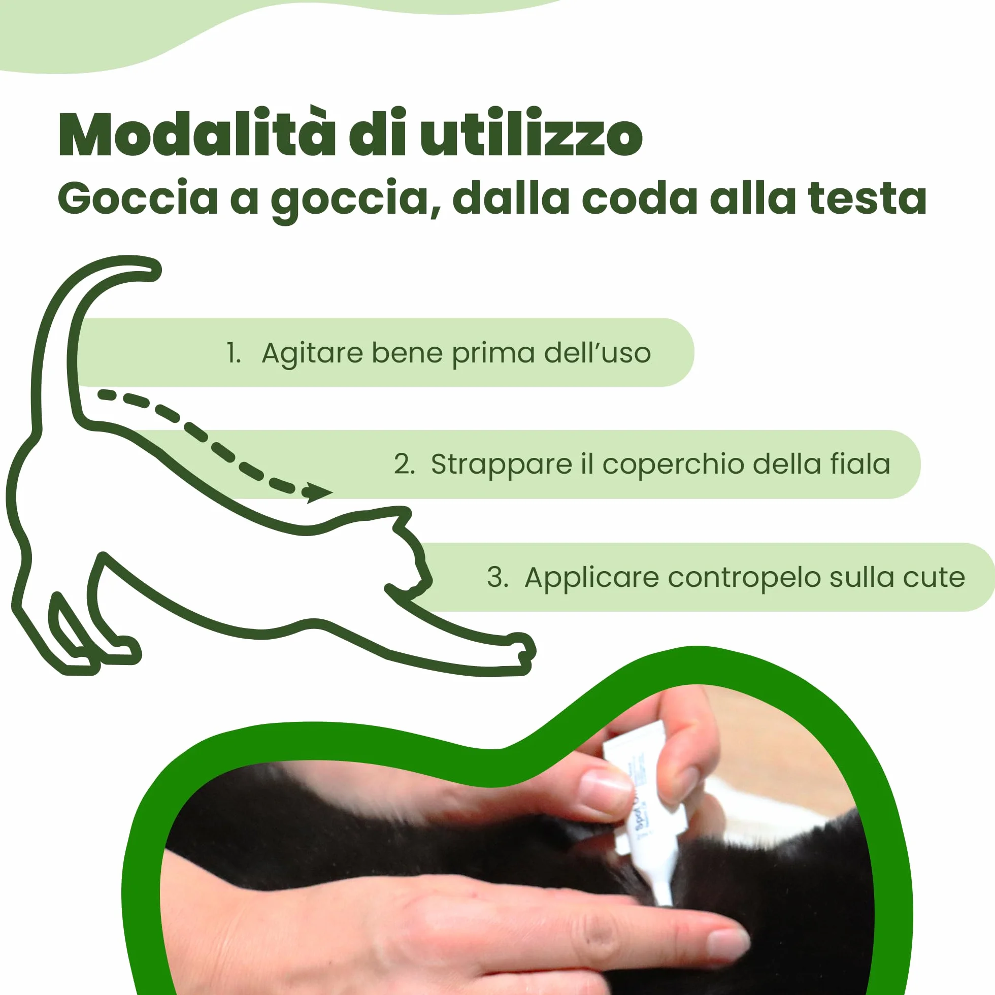 CAMON | Spot-On Protection Gatto, 5 Fiale da 2ml con Olio di Neem e Aminoacidi, Protezione Naturale