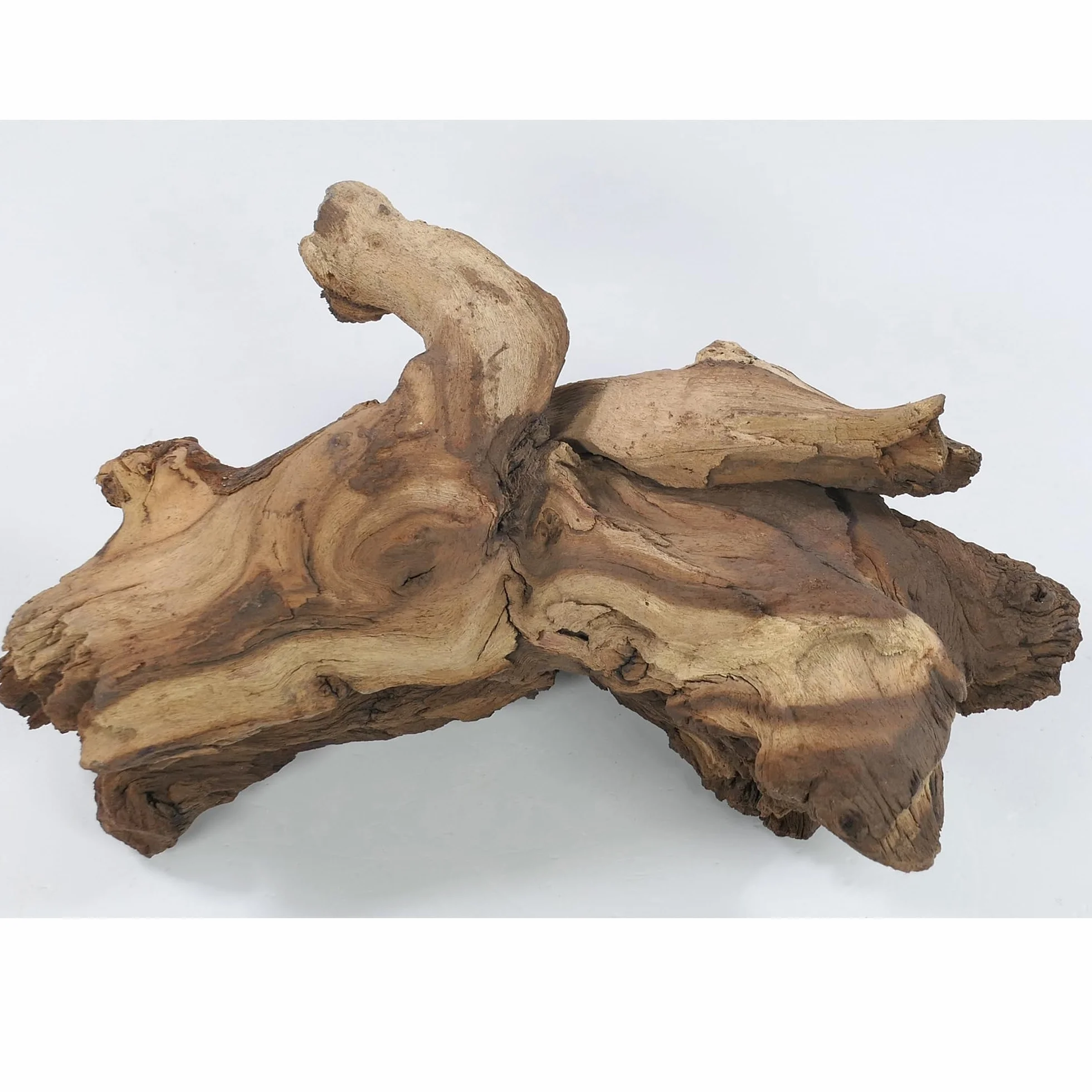 Mopani radice taglia S // radice in vero legno decorazione per acquario, gamberetti, pesci d'acquario Hard Scape 10 cm - 20 cm (Mangrove Savanna)