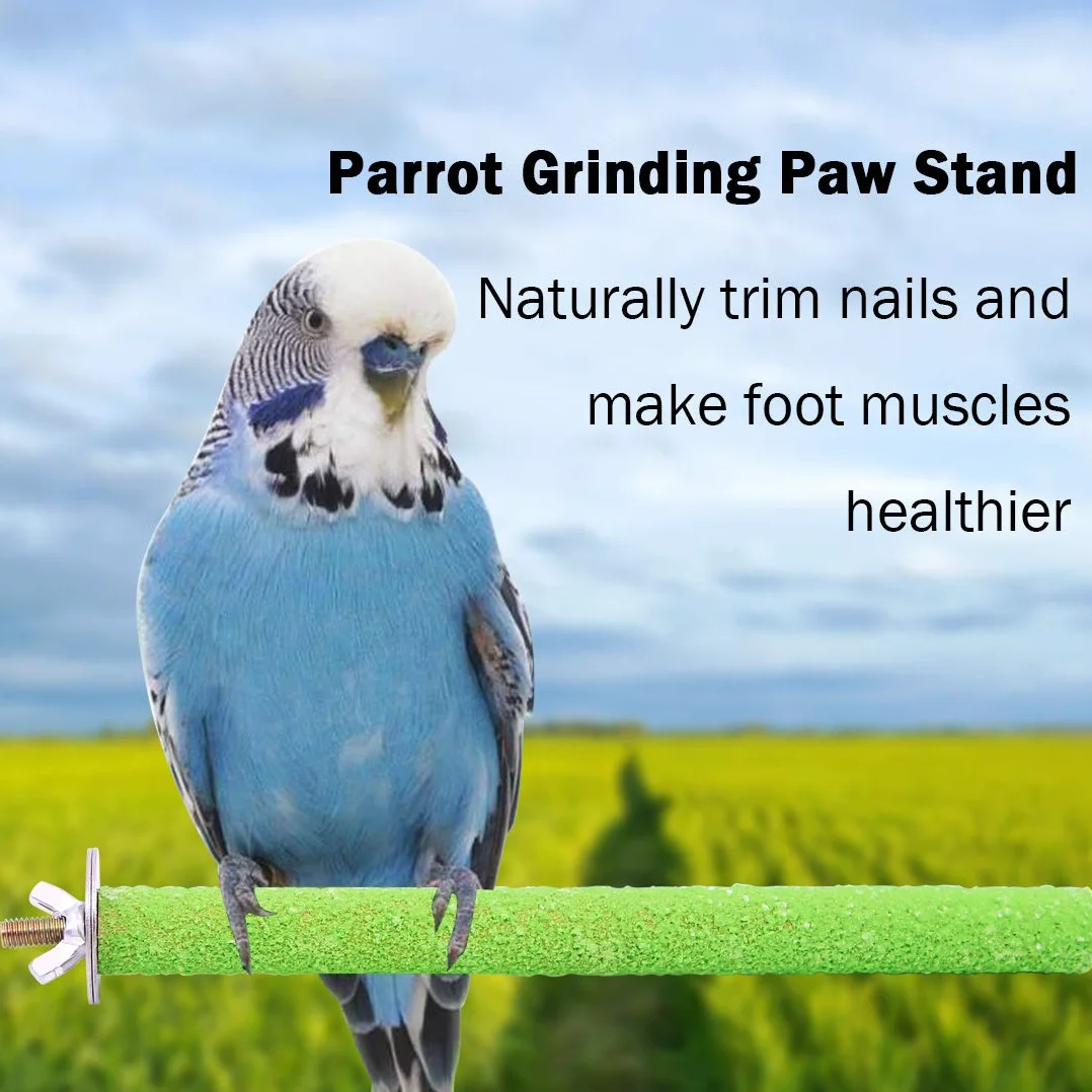 Wudong 6 Pezzi posatoi per pappagalli, Gabbia per Uccelli Colorata Scrub Stand Bar per Uccelli pappagalli pappagallini parrocchetto Cockatiels Conure Lovebird Cage Paw rettifica Giocattolo