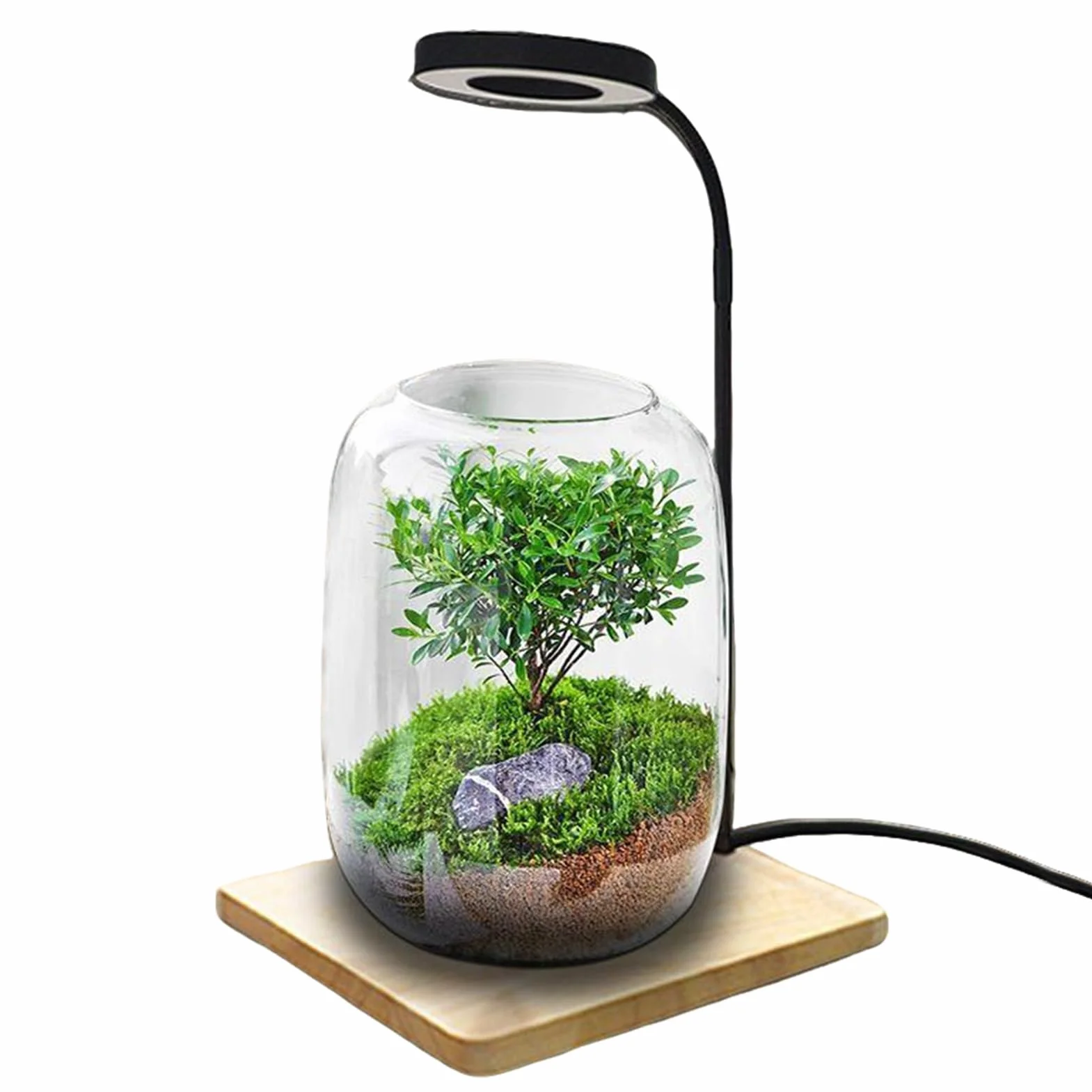Generico Lampada da scrivania a LED - Lampada a LED rotante, Coltivazione di acquari e terrari, Display da scrivania per studio domestico, a USB, Luce per piante da tavolo, Apparecchio per uffi