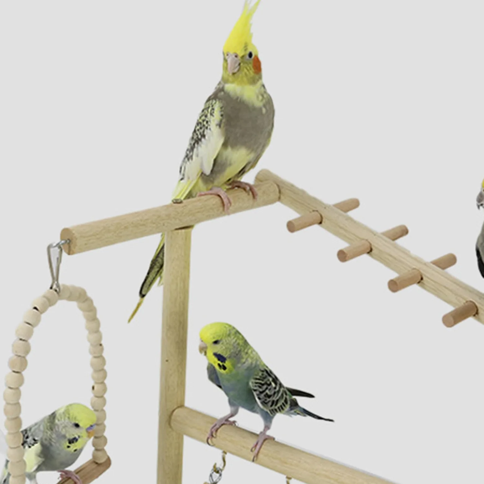 Posatoio Per Uccelli Altalene Scale Giocattoli Arrampicamento | Con Vassoio Acciaio Rimovibile E Coppa Legno Per Posatoio Pappagalli Per Addestramento Calopsitta Parrocchetto Casa Esterno