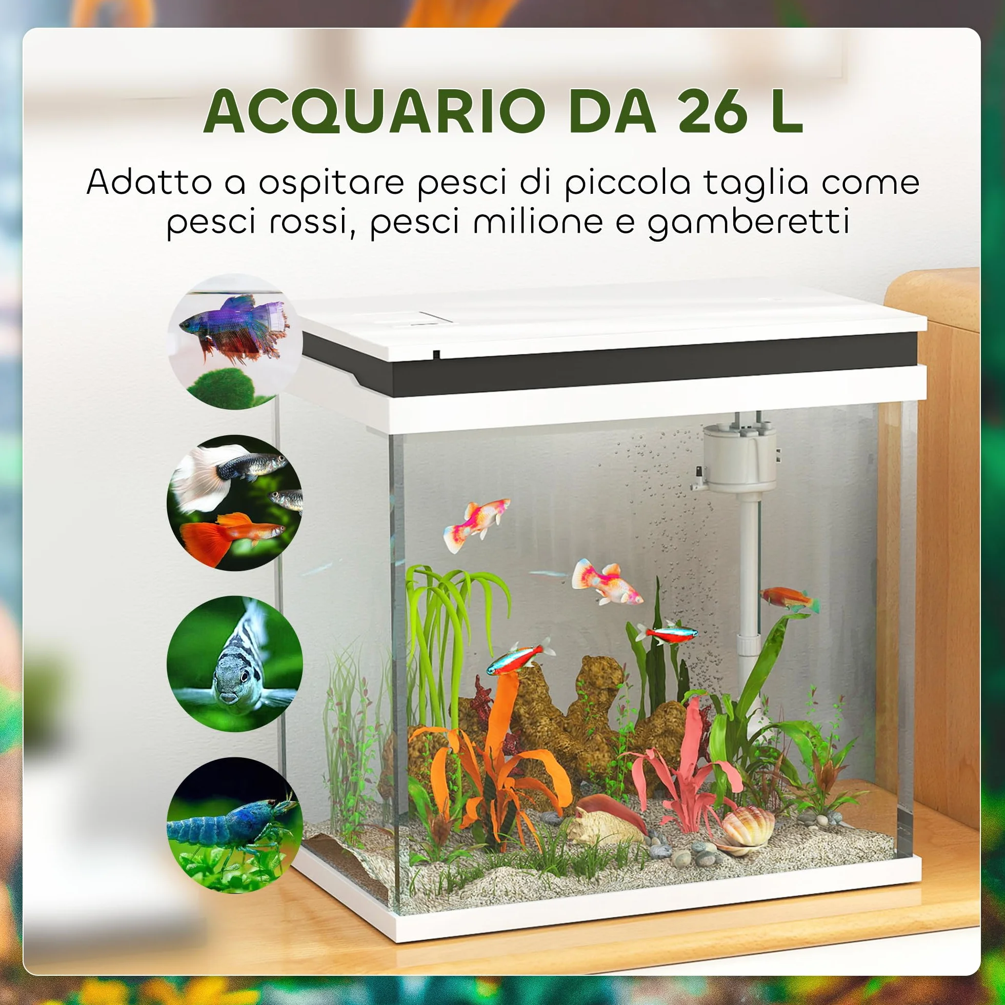 PawHut 26L Acquario in Vetro per Pesci Rossi con Pompa d'Acqua e Filtro, Acquario Completo con Illuminazione LED, Vaschetta per Pesci Acqua Tropicali, 38x26x38cm, Bianco