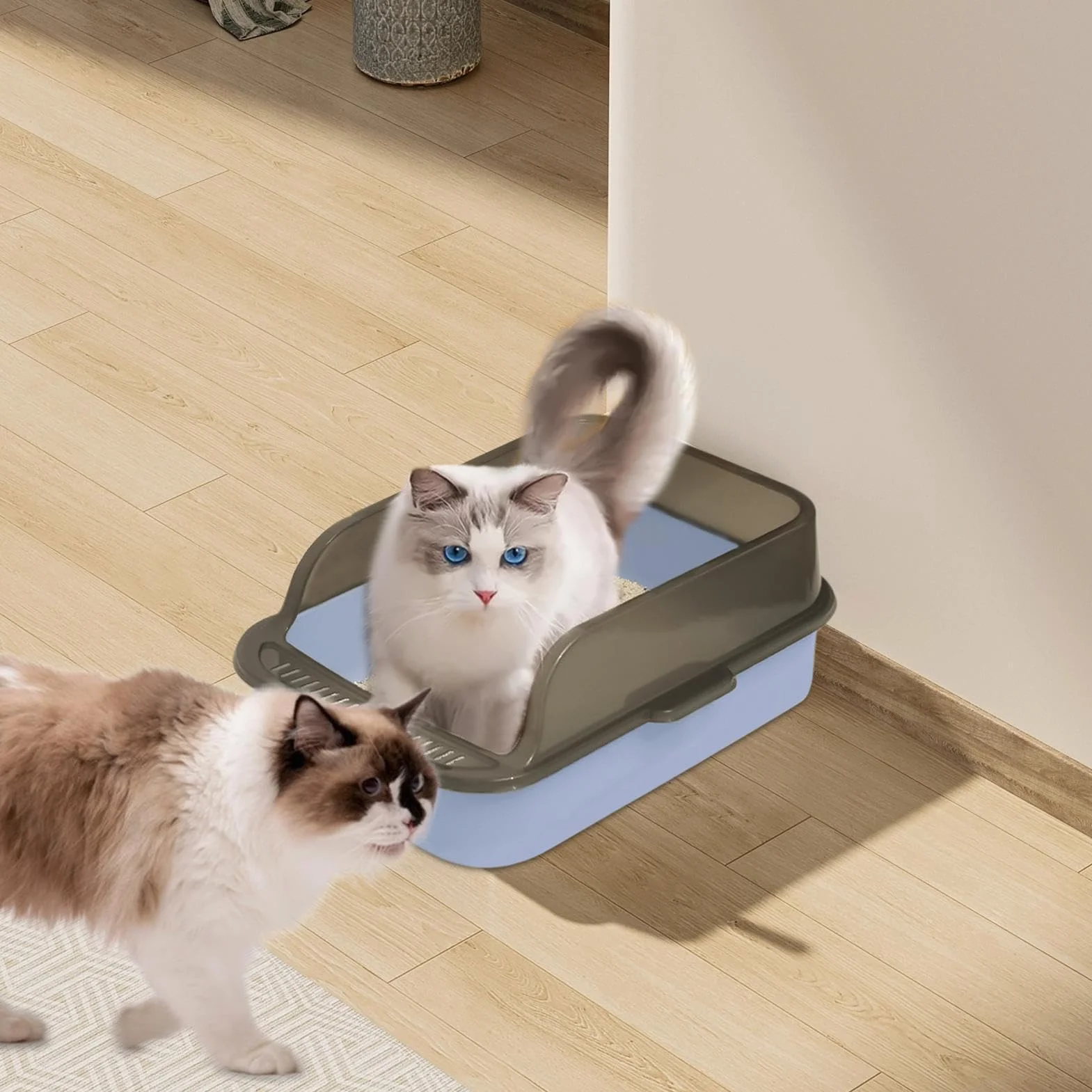 Lettiera Per Gatto Aperta Grande - Toilette Igienica Per Gattini Facile Da Pulire, Lettiera Con Bordo Rialzato, Cassettina Anti-Schizzo | Lettiera Con Facciata Alta Per Gatti Domestici, Box Gatto Cont