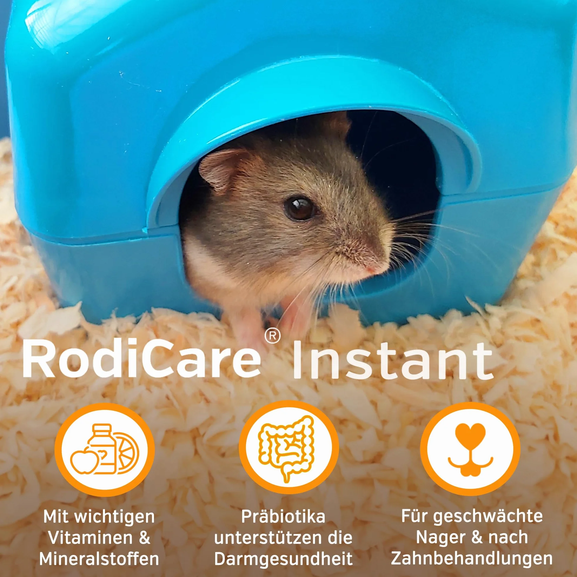 Alfavet RodiCare Instant (170 g) – Alimento completo in polvere per conigli, porcellini d’India e piccoli roditori – ricco di fibre, con erbe selezionate, con misurino