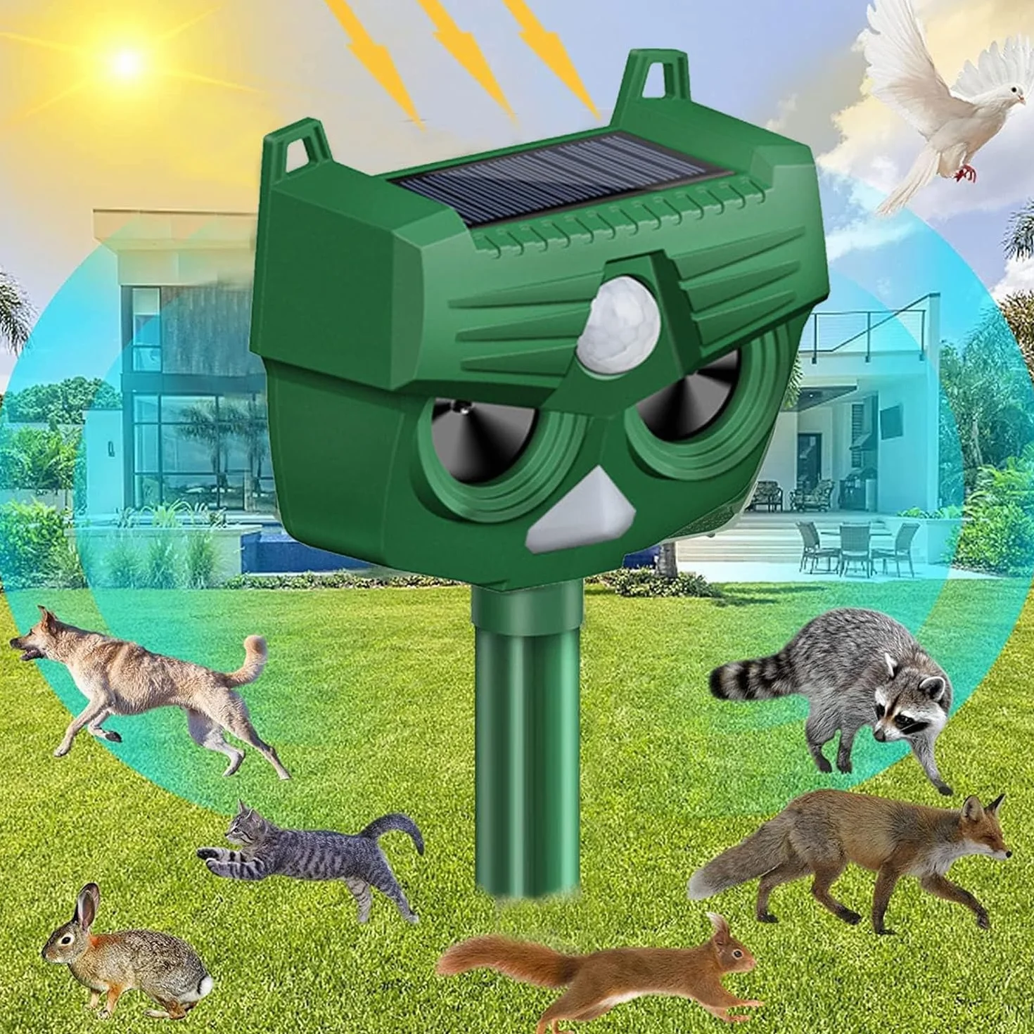 Repellente ad ultrasuoni per gatti solare ricaricabile 5 modalità per animali esterni RC545