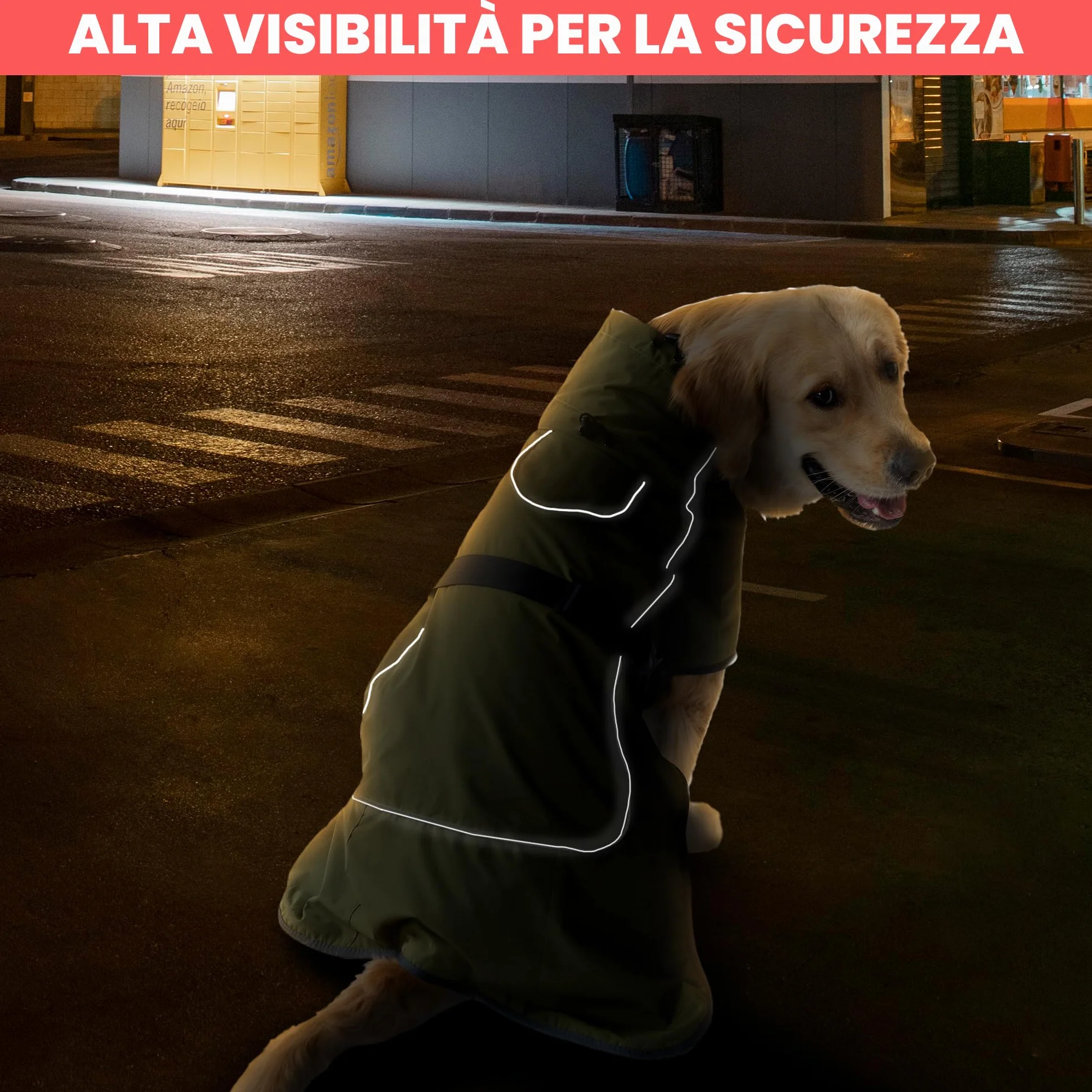 DOGOPAL Cappotto Cane Impermeabile - Giacca Antivento Riflettente con Fodera Calda, Cappottino Traspirante per Freddo Inverno, Adatto a Taglia Piccola, Media e Grande (40)
