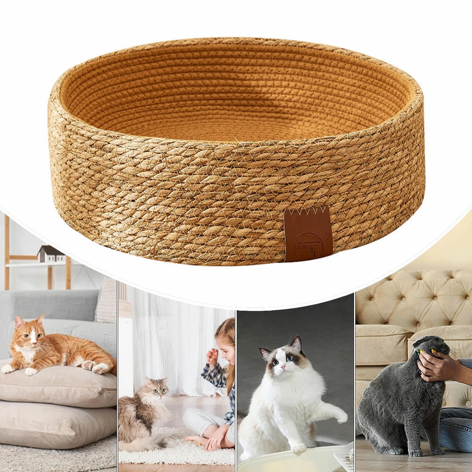 Cuccia per gatti – cuccia portatile per animali domestici | mobilia multifunzionale per gatti, in resistente, accogliente per , cuscino reversibile in peluche accogl