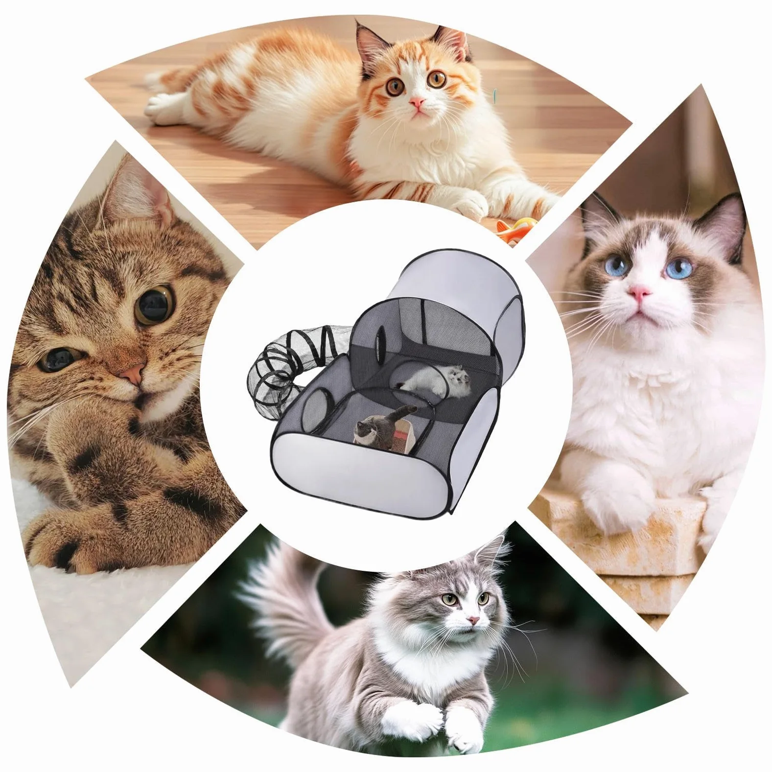 Giochi Gatti Area pieghevole per esercizio e giocattoli interattivi | Area Cani Casa Gatti Tenda Per Interni Ed Esterni Cuccioli Piccoli Animali Viaggi E Campeggio
