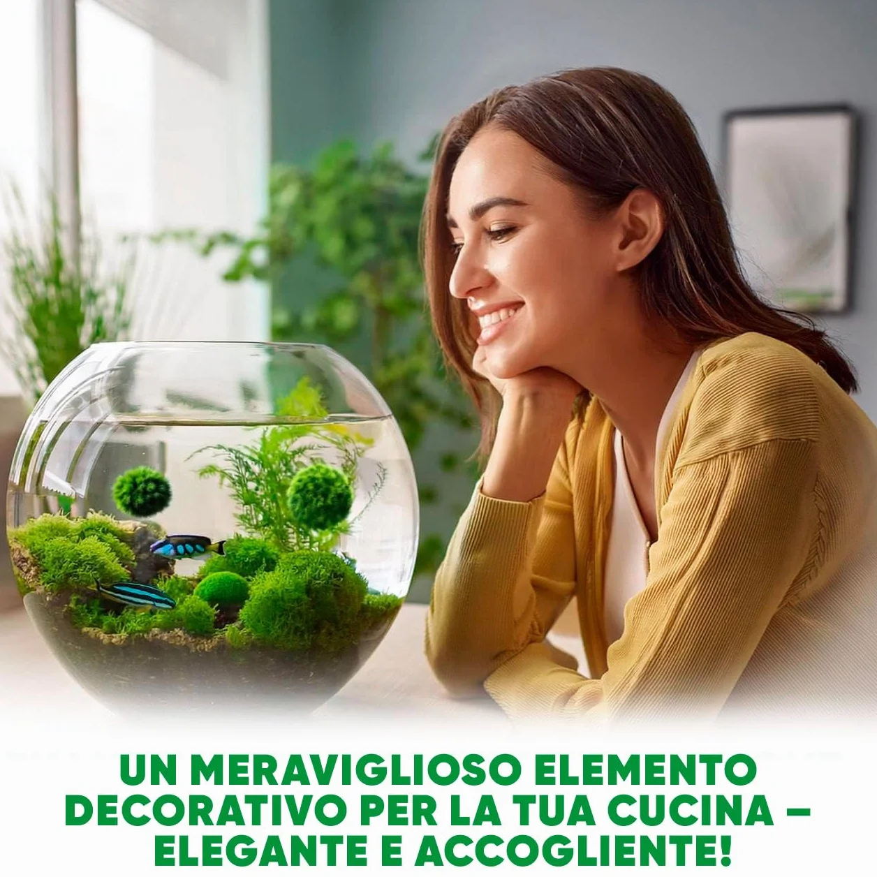 Marimo Alga Viva - 21 - Alga Palla Naturale per Acquario Piante Vere Acquario Acqua Dolce Ecosistema Autosufficiente Marimo Regalo, Moss Ball 2-4 cm per Nano e Grandi Acquari