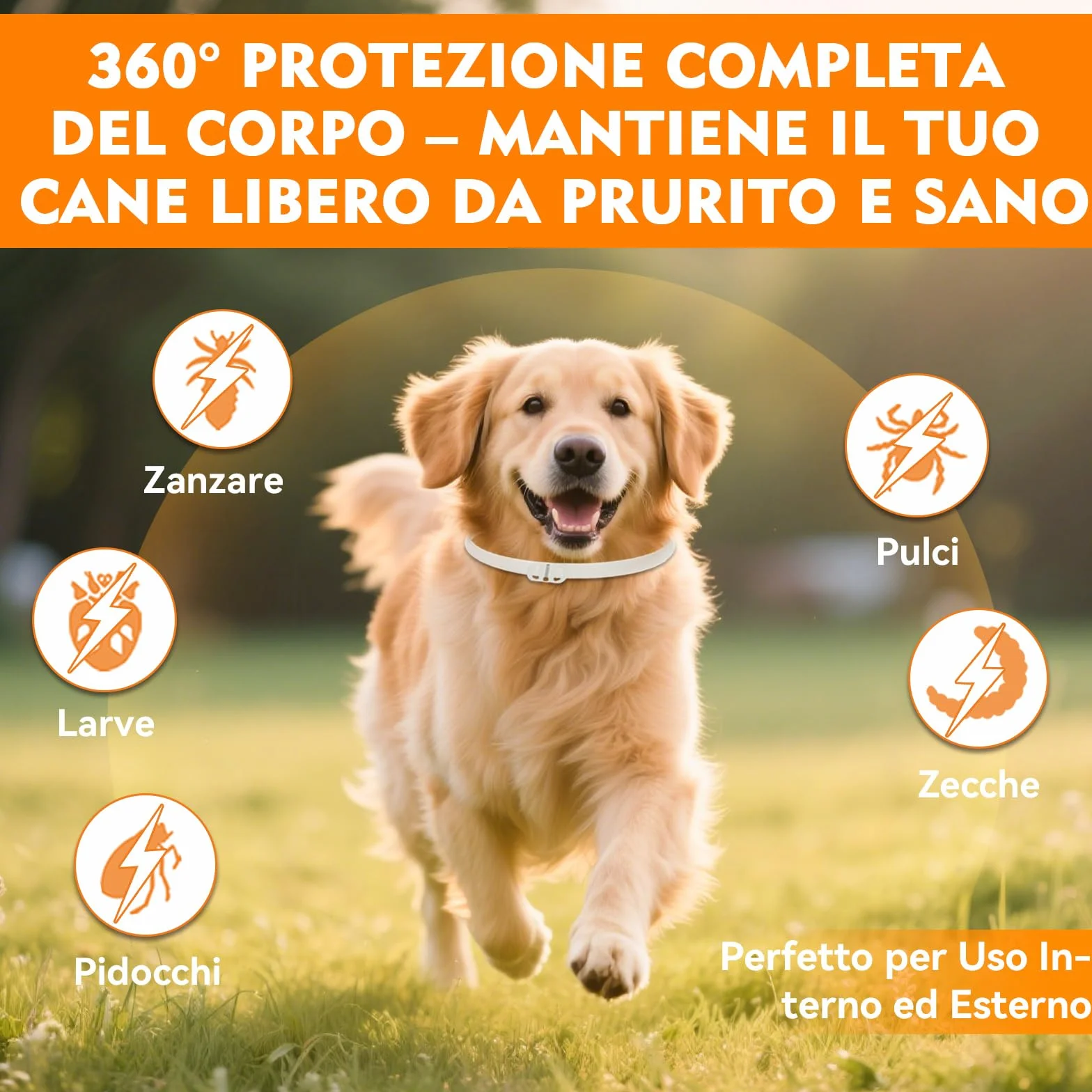 Collare Antiparassitario per Cani, Regolabile e Impermeabile con Protezione Naturale, 65cm Adatto a Tutte le Taglie, Protezione Efficace per 12 Mesi (1 Pack)