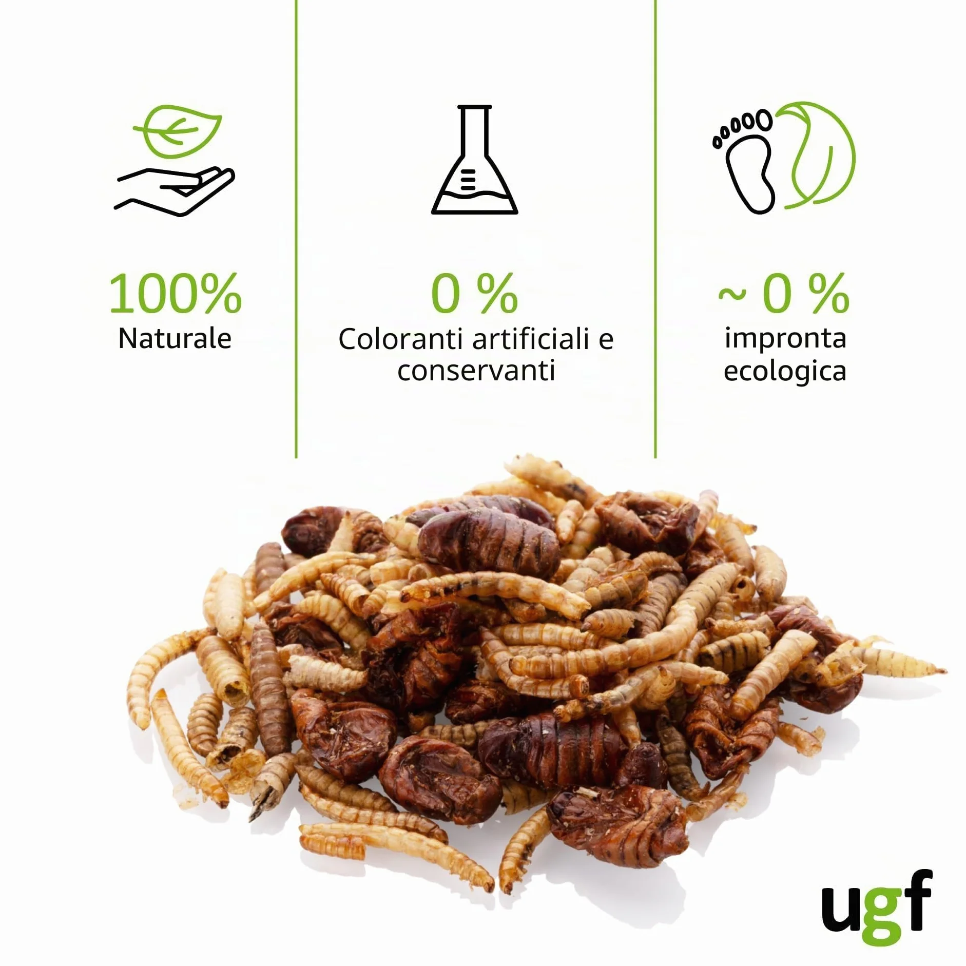 UGF Mix di insetti 80 g 500 ml cibo per ricci, gerbilli, criceti, ratti, lucertole - vermi della farina, larve di mosca soldato nera, bachi da seta