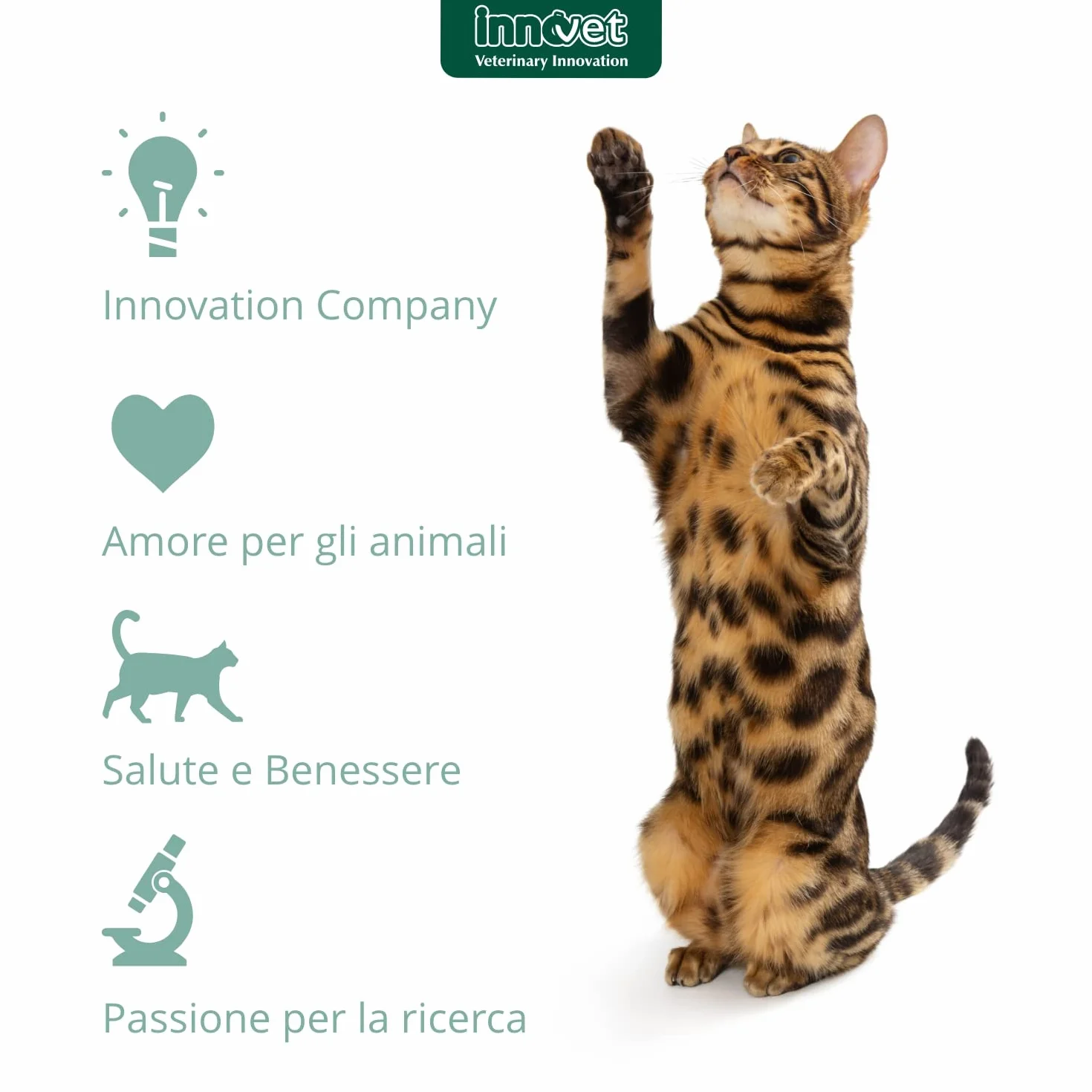 Innovet Restomyl Dentalcroc, Supporto nutrizionale, Migliora l'alito. Controlla e previene la Placca e Il Tartaro dei Gatti - Confezione con Busta da 60 g