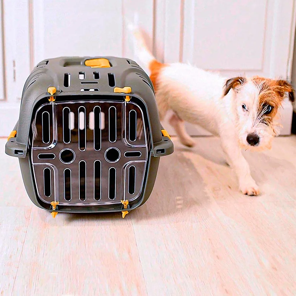 Ferplast Trasportino Rigido per Cani Piccoli e Gatti Jet 10, Porta Trasparente Antiurto, Griglie di aerazione