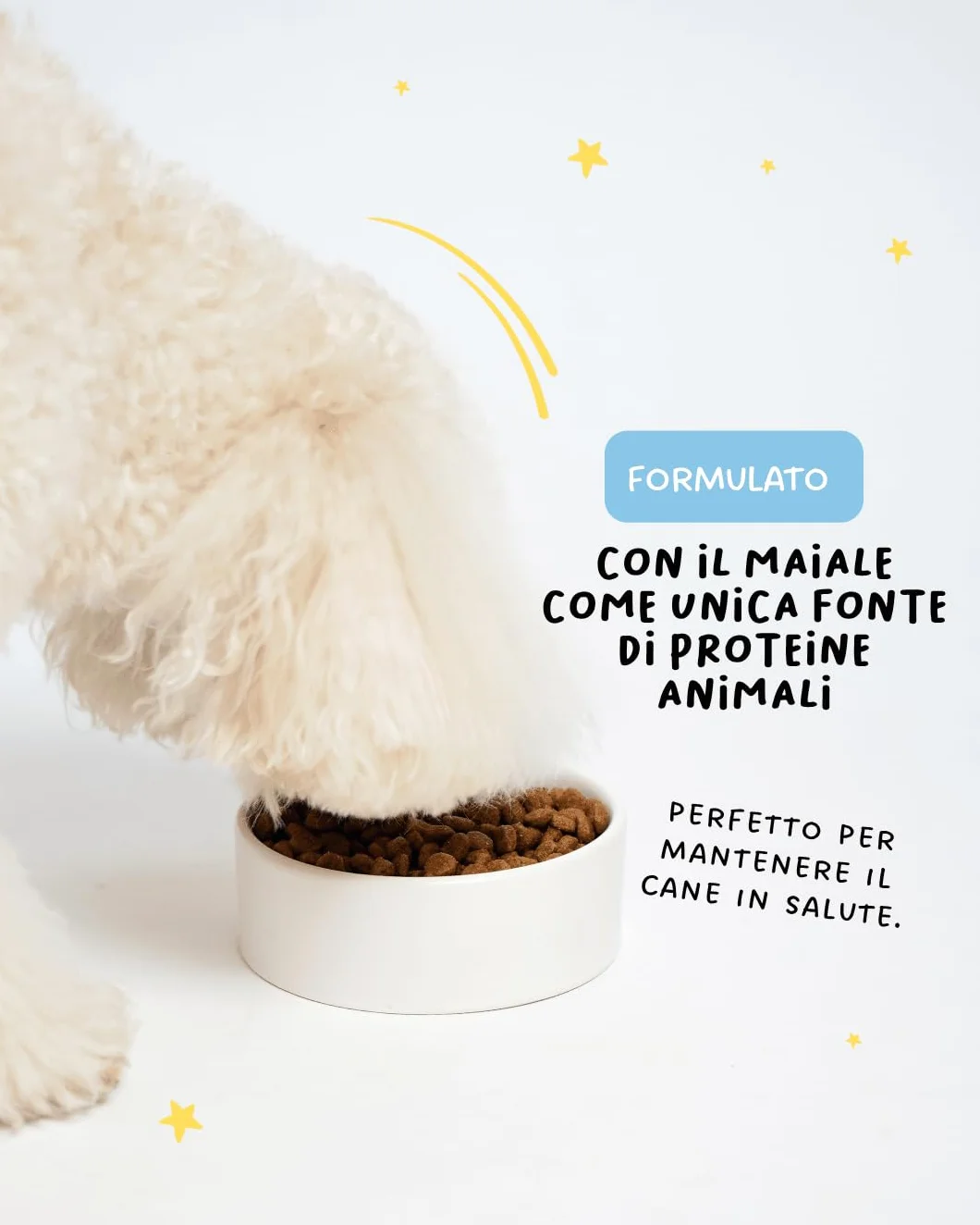 Crocchette Cani Mini Monoproteiche Maiale con Tapioca e Riso | 3 kg | Cibo Secco Adulti Taglia Piccola Ipoallergenico Low Grain | Hygge Dog