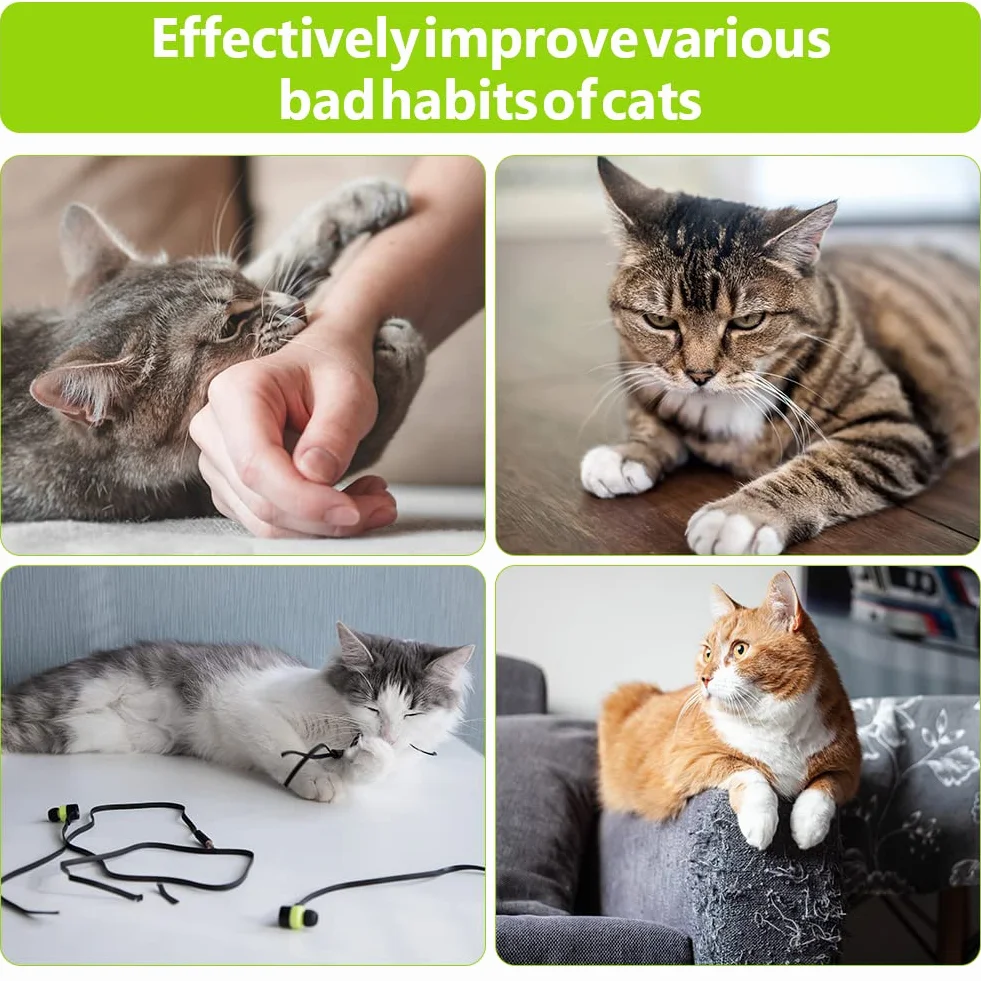Giocattoli di Erba Gatta, 6 Pezzi Bastoncini da Masticare per Gatti, Naturale Bastoncini Matatabi per Gatti, Denti di Gatto Pulizia Masticare Giocattoli, per Eliminare Alitosi e Tartaro
