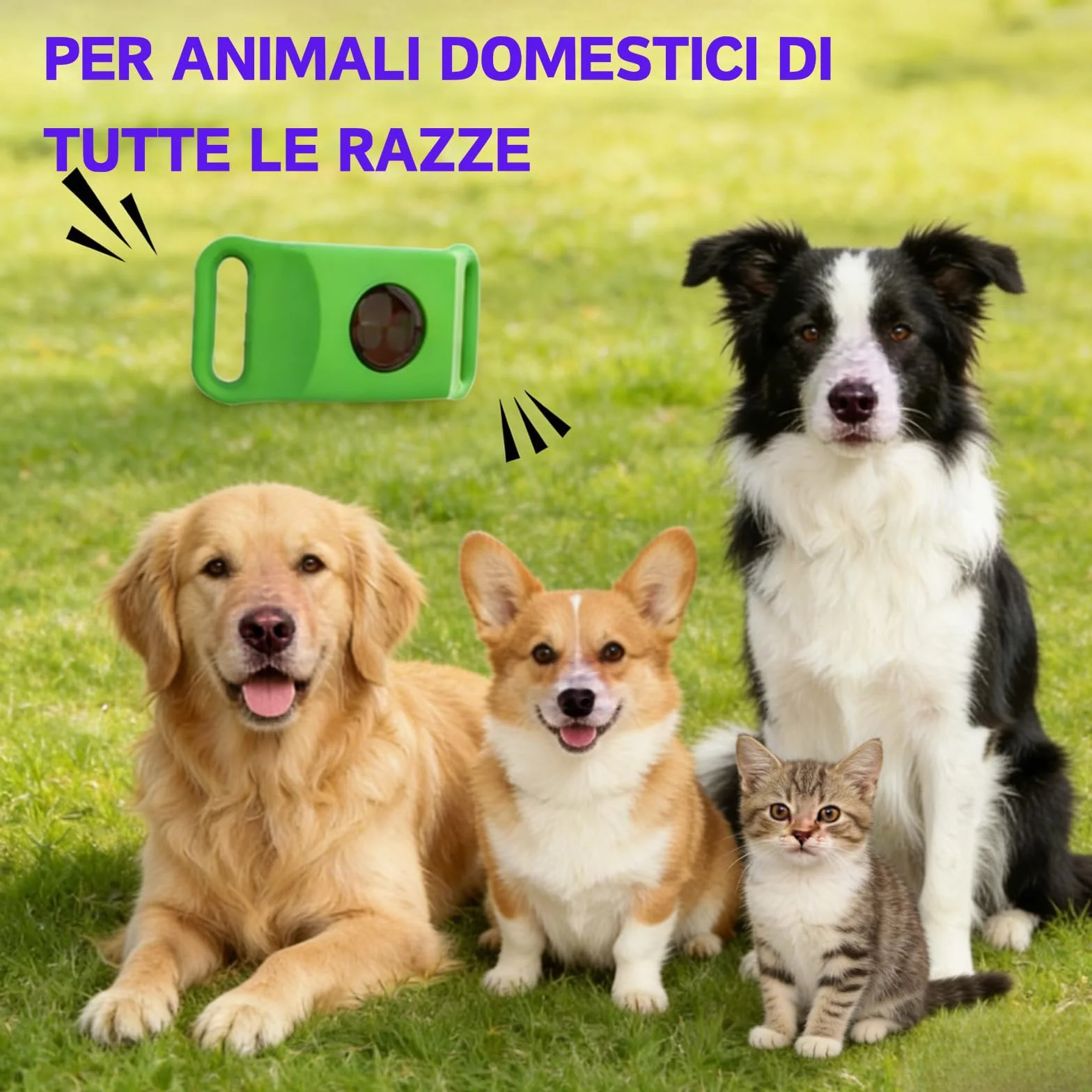 Aquality Pets Collare Antiparassitario Naturale, Collare Antiparassitario Per Cani, Adatto a Più Razze Di Animali Domestici, Gatti e Cani Universali
