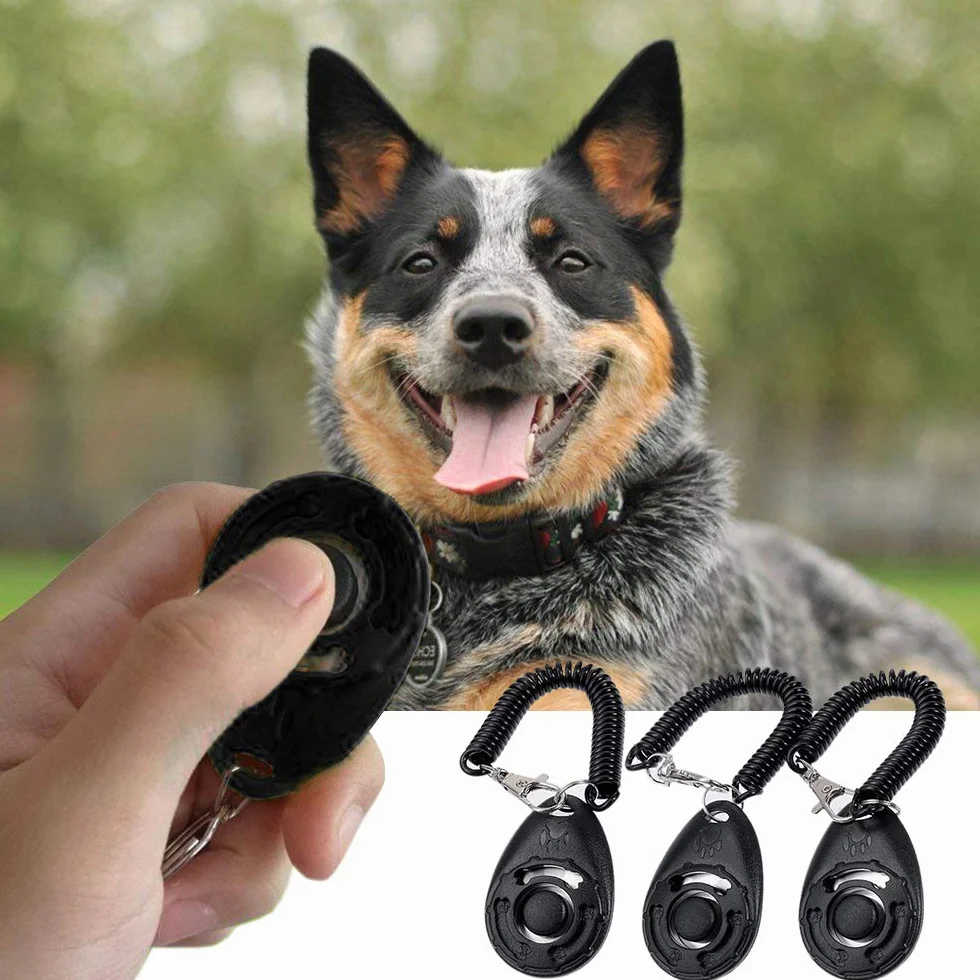 3 pezzi Clicker per Cani,Clicker Professionale con Bracciale a Molla per Educazione Cani, Nero