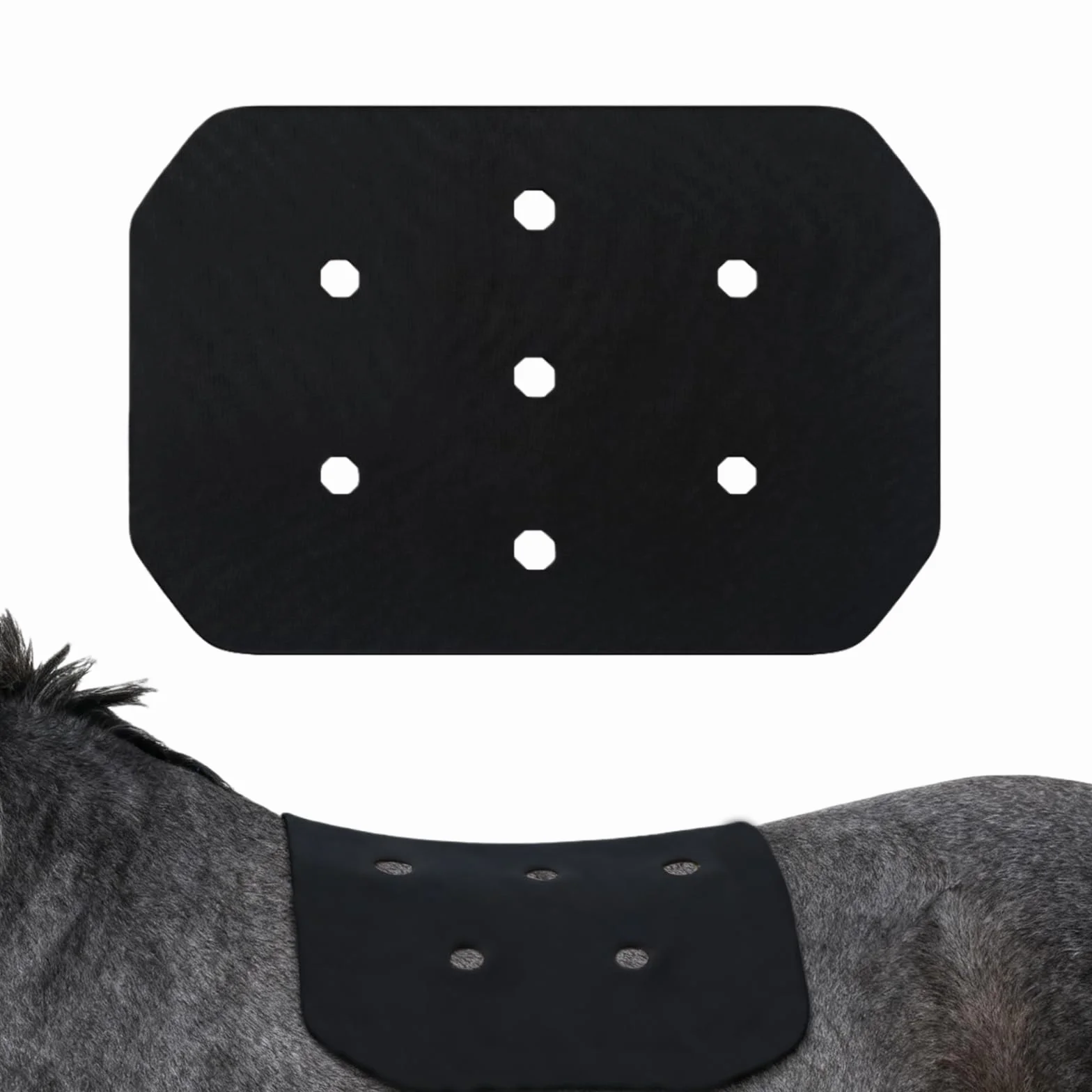 sottosella equestro,sottosella,Sottosella antiscivolo,sottosella antiscivolo per cavalli,sottosella per cavalli,sottosella in neoprene,sottosella proteggisella,sottosella,sottosella per cavalli
