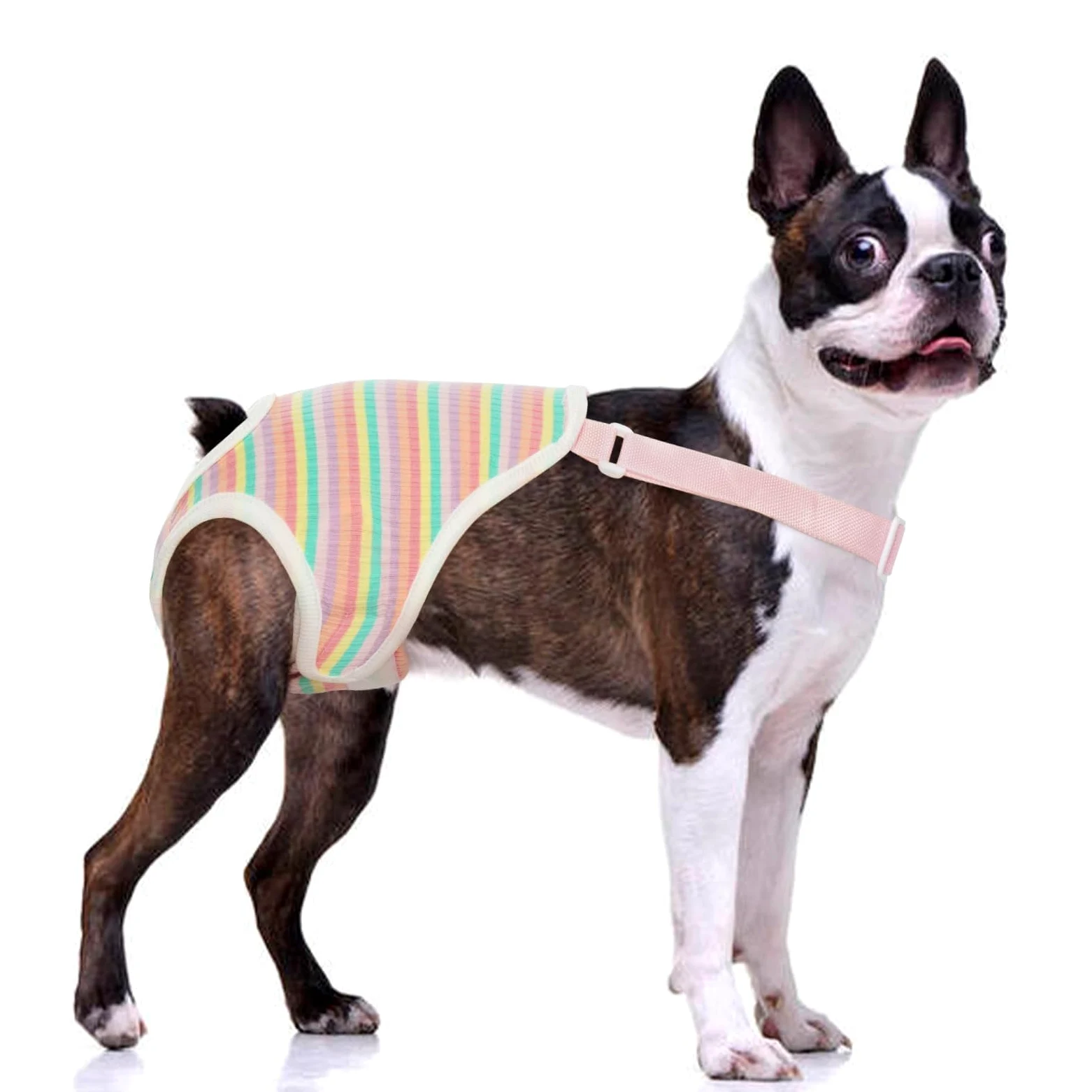 QBLEEV Pannolini per cani Mutandine sanitarie lavabili femminili con reggicalze regolabili, pannolini riutilizzabili per cuccioli di cane carino mutandine mestruali per cani in calore, biancheria