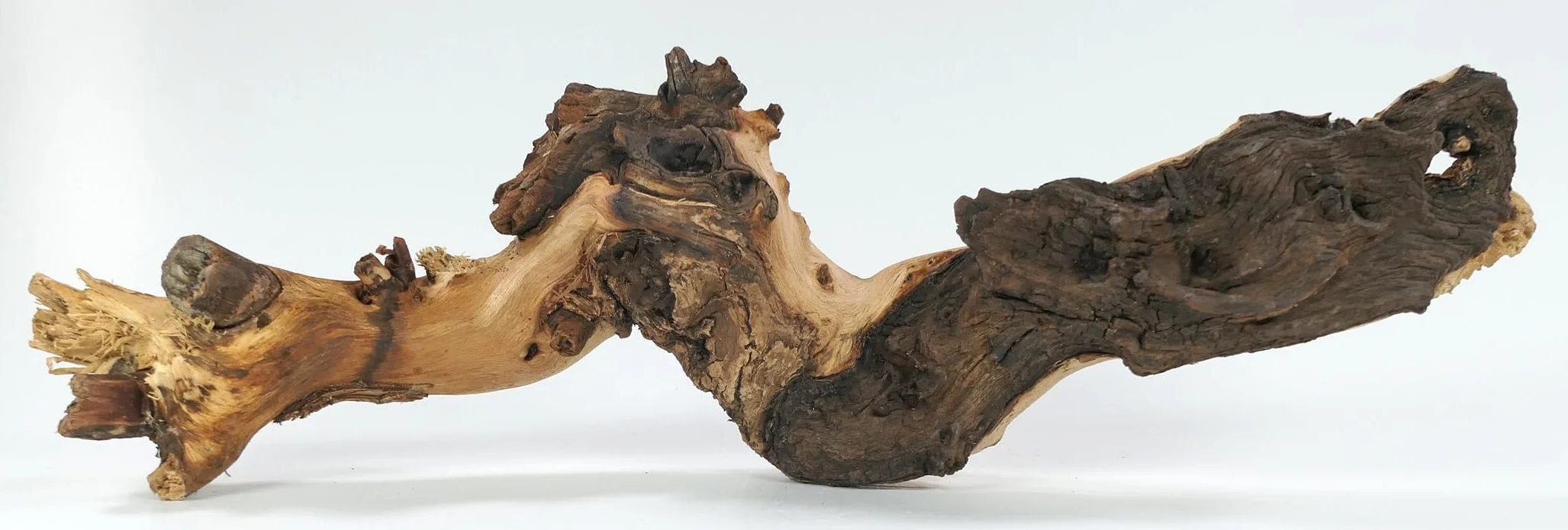 Mopani radice XL // radice in vero legno decorazione per acquario, gamberetti, pesci d'acquario Hard Scape 40 cm - 50 cm (Mangrove Savanna) Aquascaping