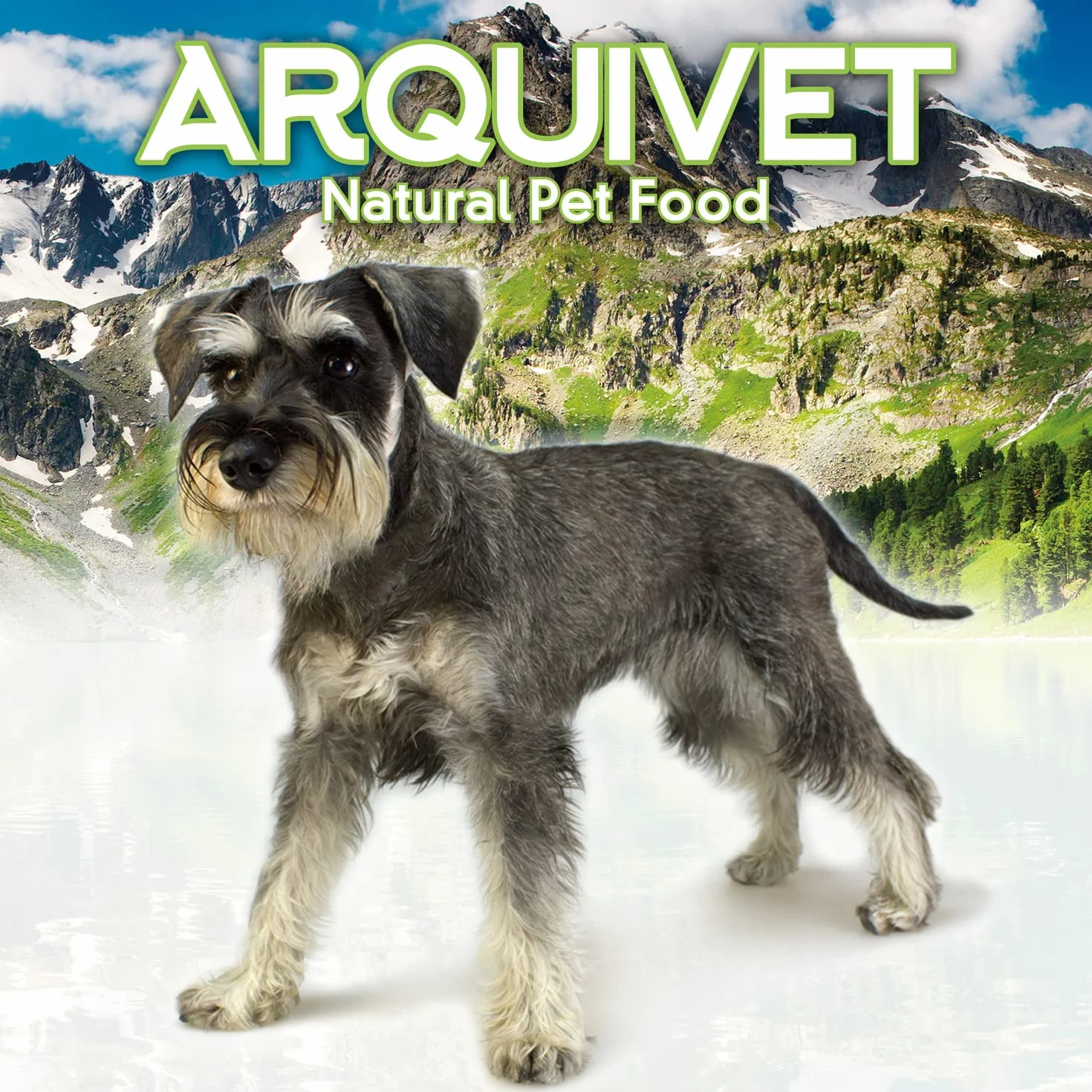 Arquivet Chip Salmon, 100 g