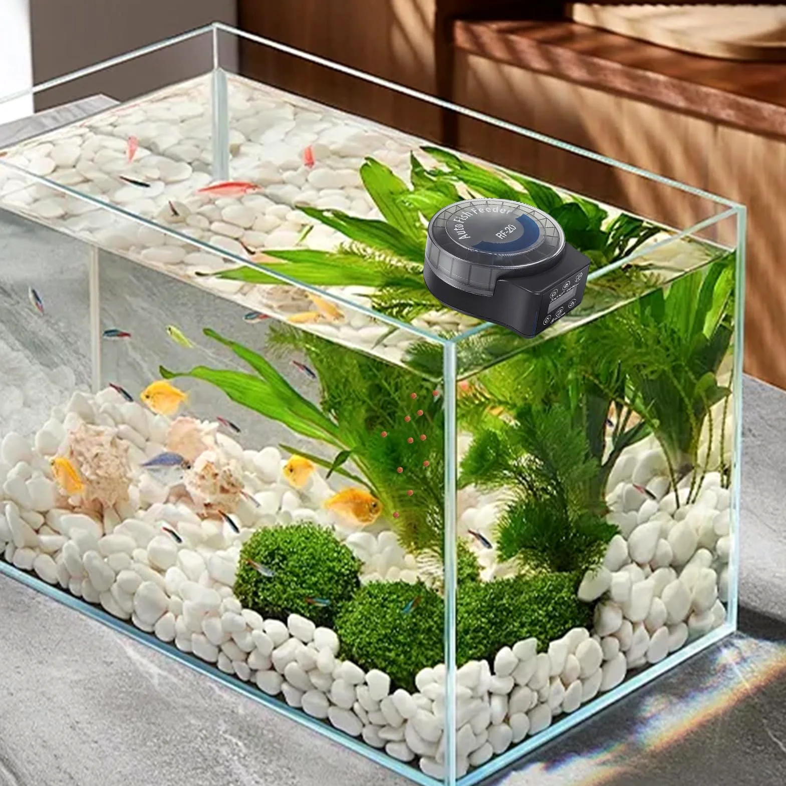 Alimentatore Automatico Per Acquario 6 Timer Alimentatore Automatico per | Alimentatore per Pesci Programmabile per Tartarughe Betta Axolotl Gamberi Acqua Dolce e Salata