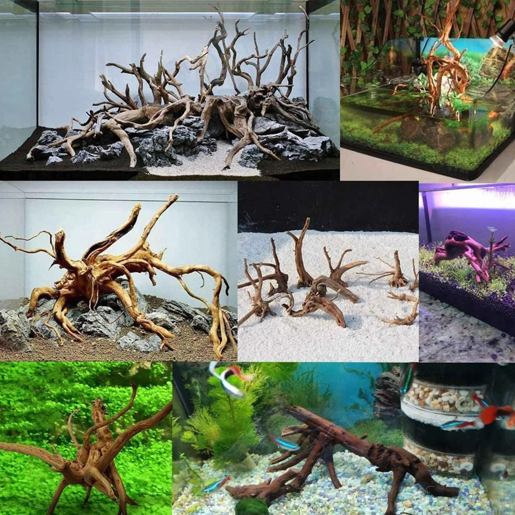 LAXED Mini Driftwood per acquario, rami di legno naturale, decorazioni per acquari, rettili, d'albero in legno naturale, confezione da 10