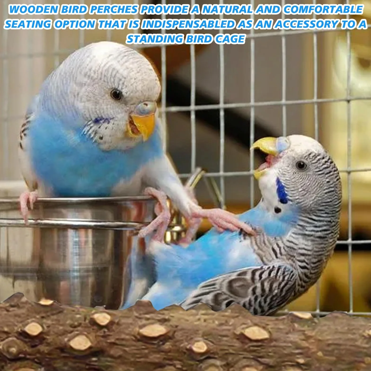 Set di 8 posatoi naturali per uccelli, in acciaio inox, per uccelli, per appendere il pappagallino, per uccelli, accessori per parrocchetti, canarini, agapornidi