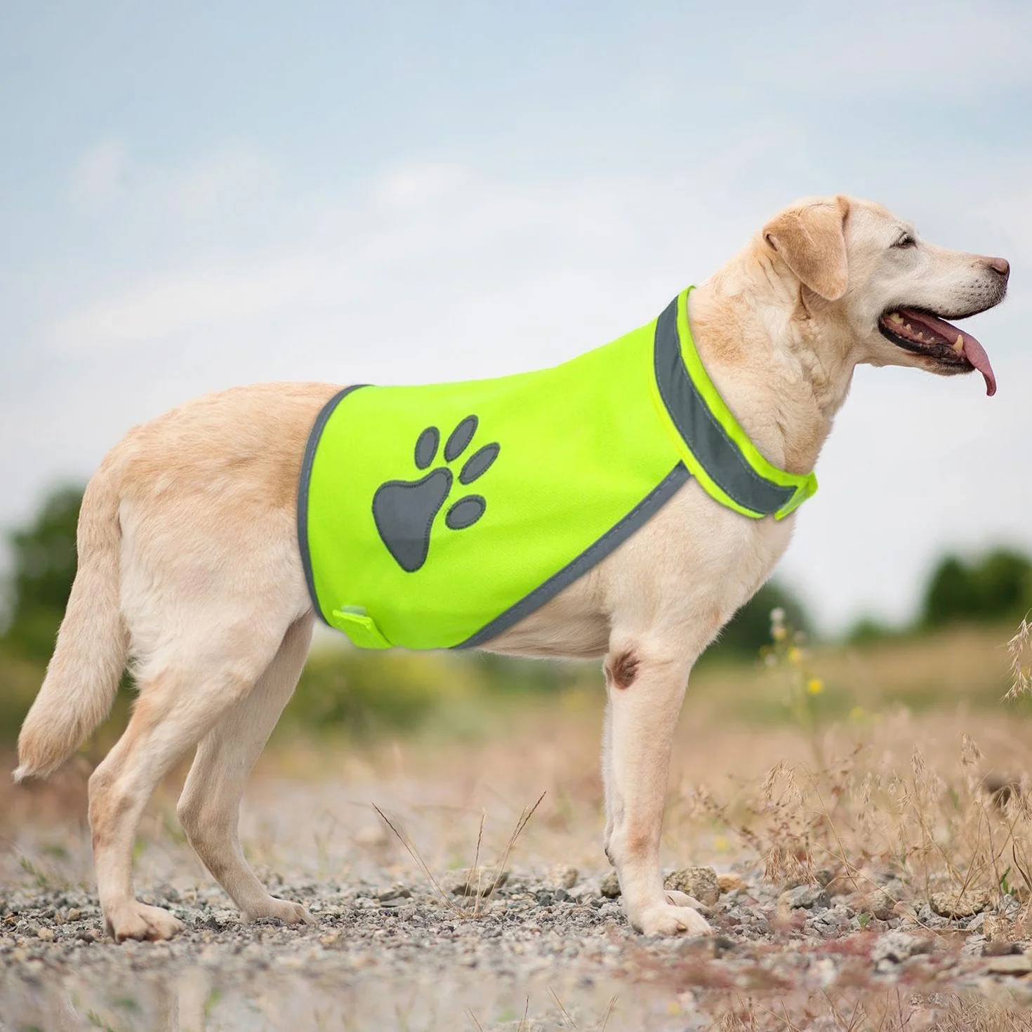 2 Pezzi di Vestiti Riflettenti per Cani, Gilet di Sicurezza da Viaggio per Animali Domestici, Vestiti per Animali Domestici, Gilet per Animali Domestici Traspirante E Confortevole
