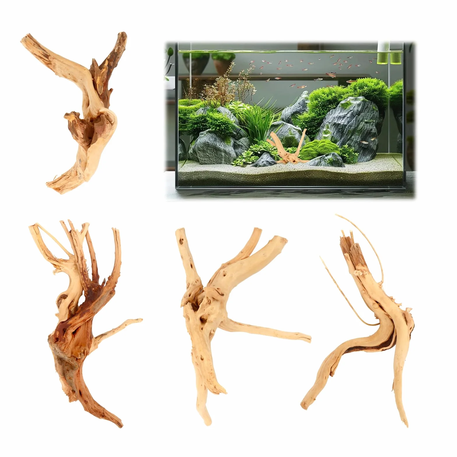 4 pezzi radice di muschio, acquario, radice di acquario, legno naturale, decorazione per legni da 10 a 15 cm, forma casuale, piccolo ornamento per aquascaping rettili, decorazione per interni