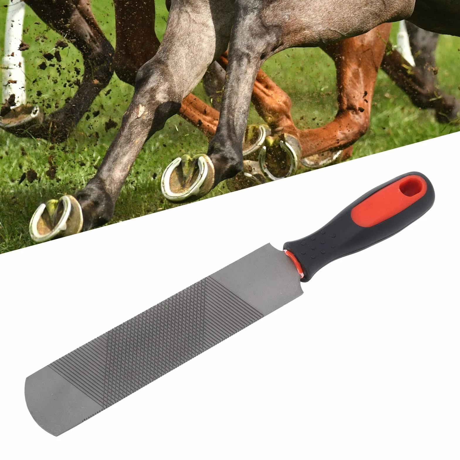 Raspa per Zoccoli, Lima a Ferro di Cavallo da 8 Pollici Strumenti per Maniscalco Strumento per rifilare Zoccoli per Cavalli in Acciaio al Carbonio con Manico Flessibile per Cavallo