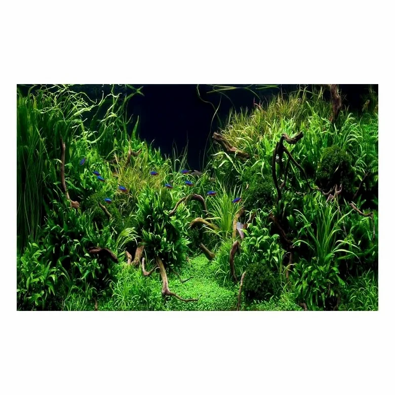 Sfondo Acquario Adesivo forestale Sfondo Acquario Ornamento Poster Foresta Paesaggio Carta autoadesiva for per la Decorazione(White,54x122cm)