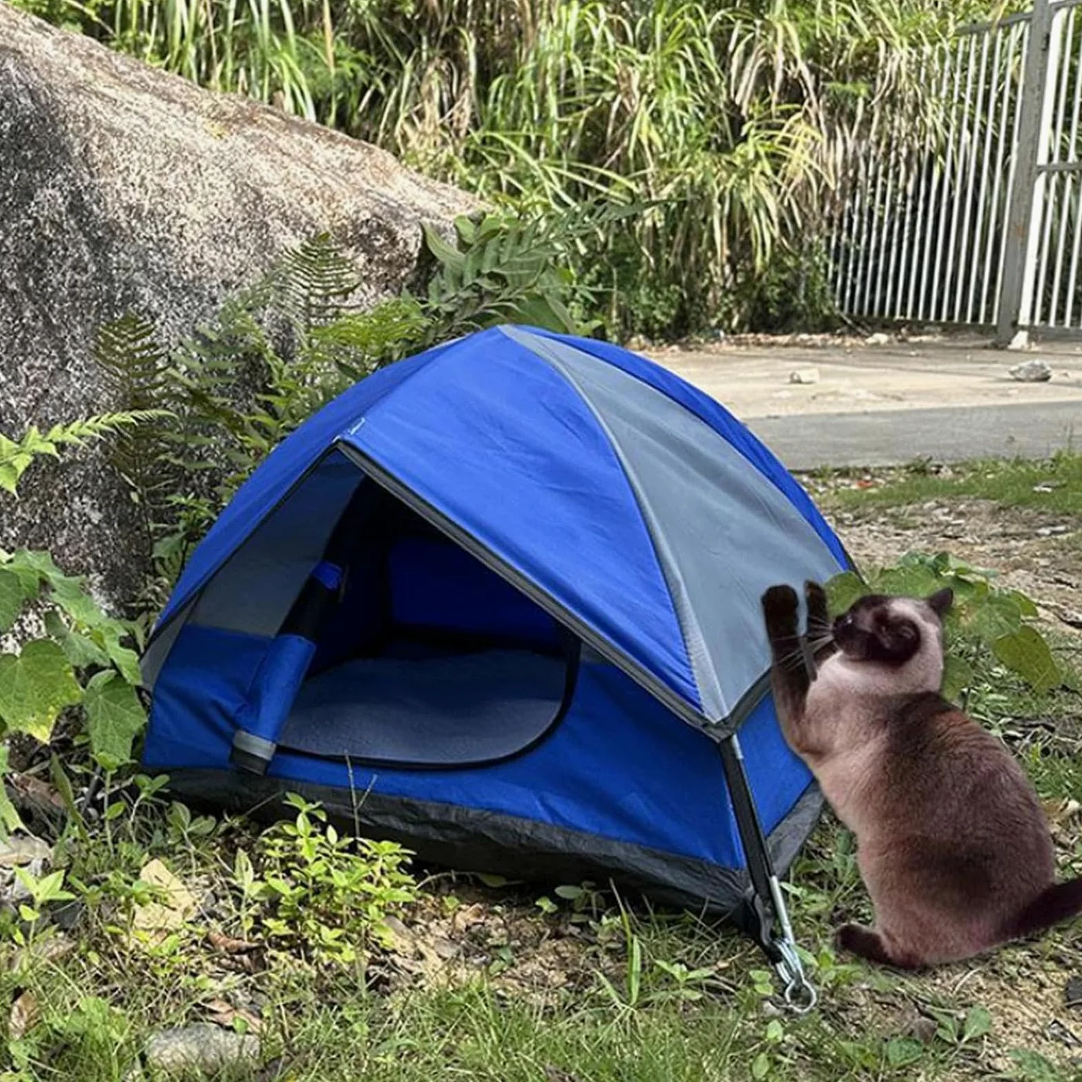 Tenda Da Per Gatti Per Cani E Gatti Piccoli Esterno | Campeggio Animali Domestici Portatile Pieghevole Rete Traspirante Leggero Interno Imballabile Da Viaggio Facile Montaggio