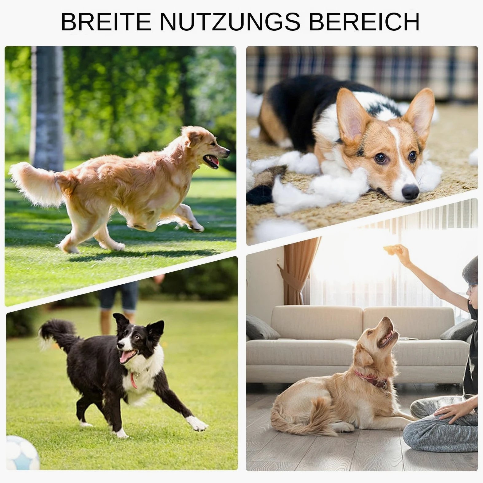 Invernale Per Cani Comfortevole Grande Cuscino Antiscivolo per Animali | Materassino Da Per Gabbia E Cuccia Per Appartamento Dormitorio Casa Soggiorno Camera Da
