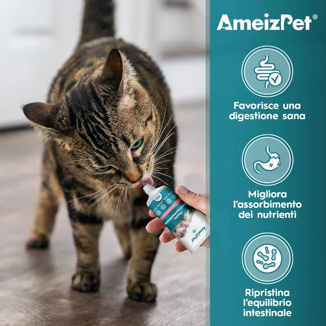 AmeizPet Pasta Gastrointestinale per Gatti, Supporto Gastrointestinale per la Salute Intestinale e la Flora Batterica, Integratore Digestivo per Gatti e Gattini, 100g (3.53 Oz)