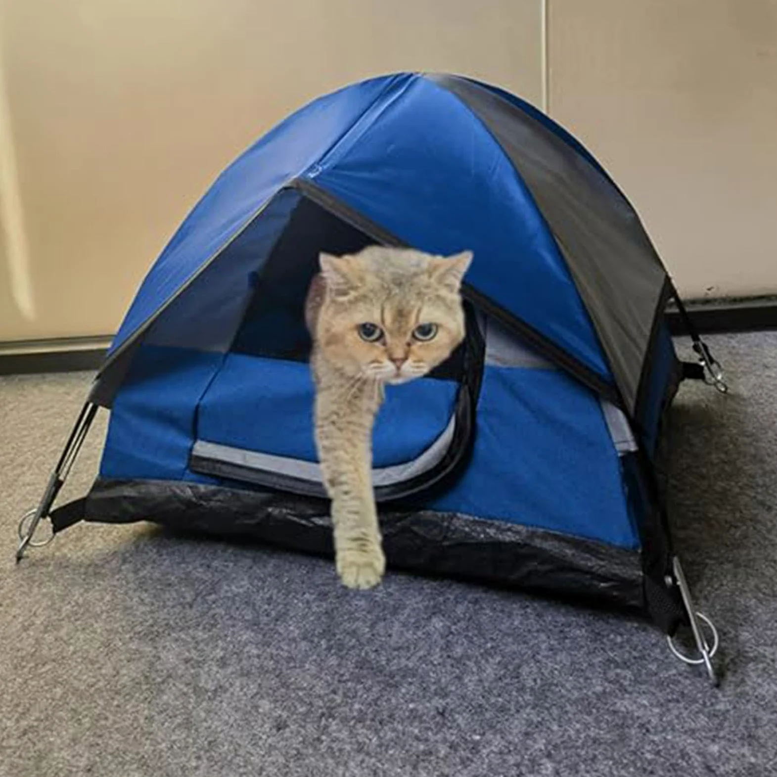 Tenda Da Per Gatti Per Cani E Gatti Piccoli Esterno | Campeggio Animali Domestici Portatile Pieghevole Rete Traspirante Leggero Interno Imballabile Da Viaggio Facile Montaggio