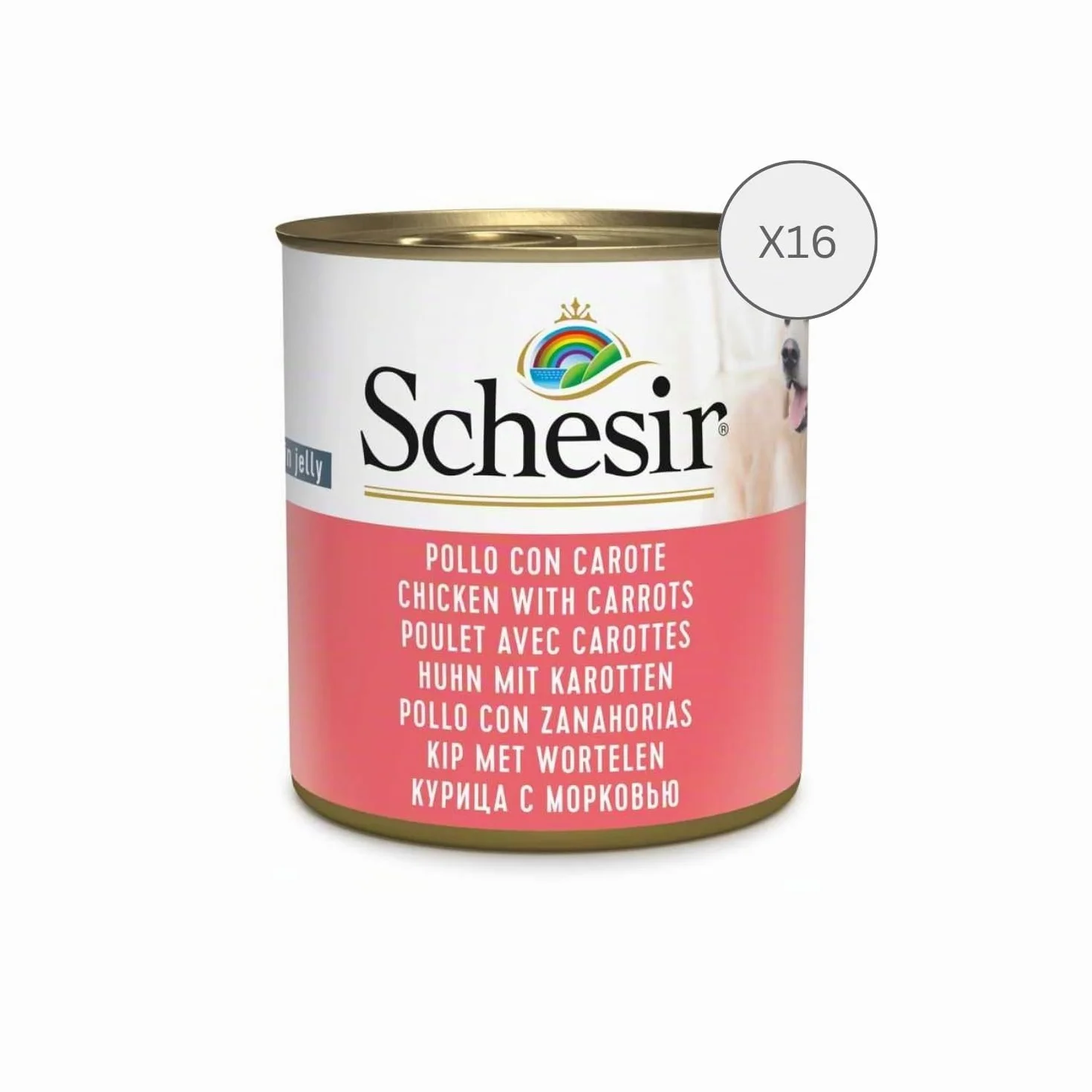 Schesir, Cibo Umido per Cani Adulti al Gusto Pollo con Carote, Filetti in Morbida Gelatina - Totale 4,56 Kg (16 Lattine da 285G)