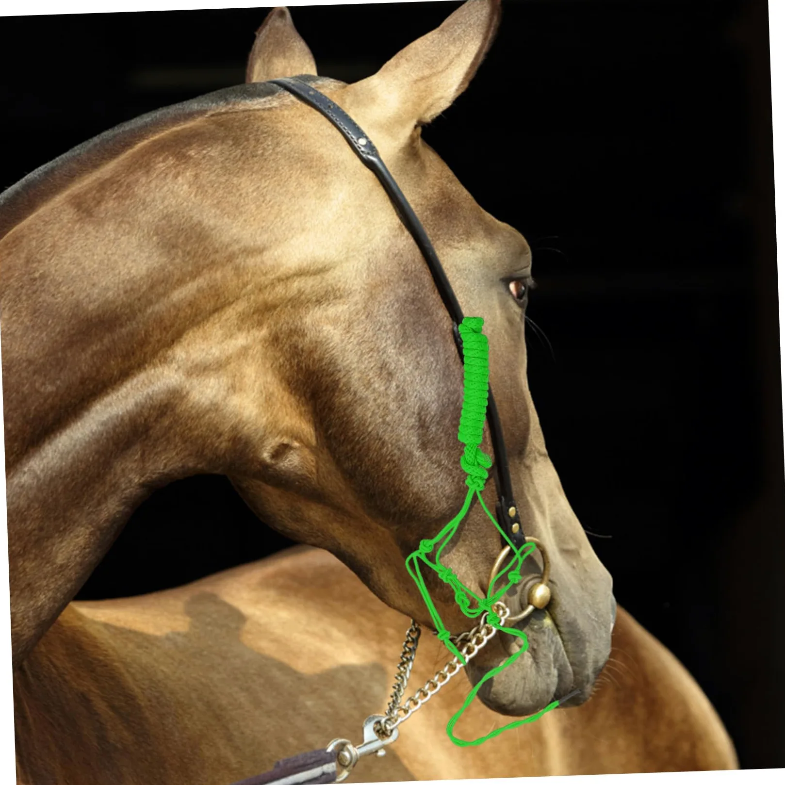 KOMBIUDA Cavezza Corda Intrecciata Accessorio Forniture Per Equitazione Addestramento Resistente Usura Controllo Trattenimento Miniatura Tiro