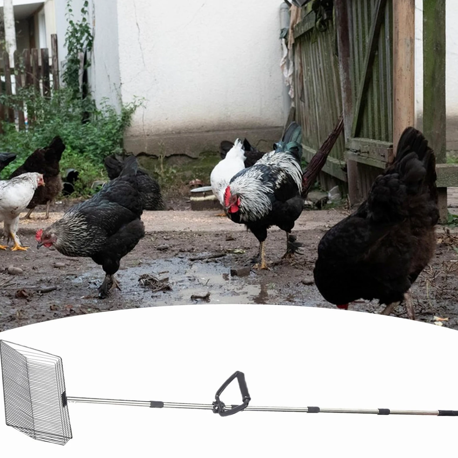 per Cacca di Pollo per Sabbia Pulizia Lettiera Animali Fattoria | per Pulire Escrementi di Pollo per Conigli Gatti Cavie Pony Fienile Rustico Recinto Stalla Gabbia