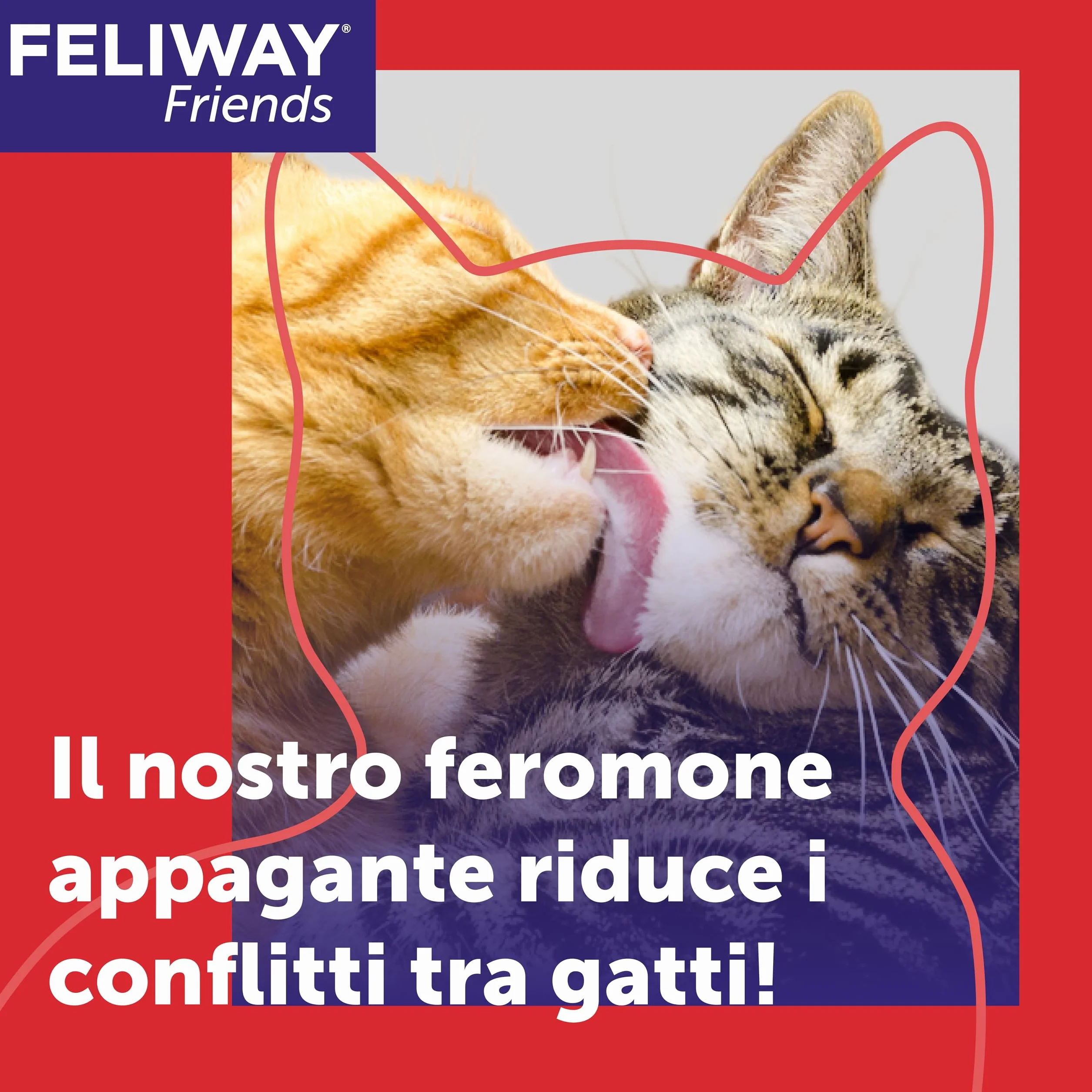 FELIWAY Friends 3x30 Giorni Ricariche Calmanti per Gatti per Diffusore di Feromoni, 48 ml – Aiuta a creare armonia e a ridurre i conflitti nelle case con più gatti. Raccomandato dai veterinari