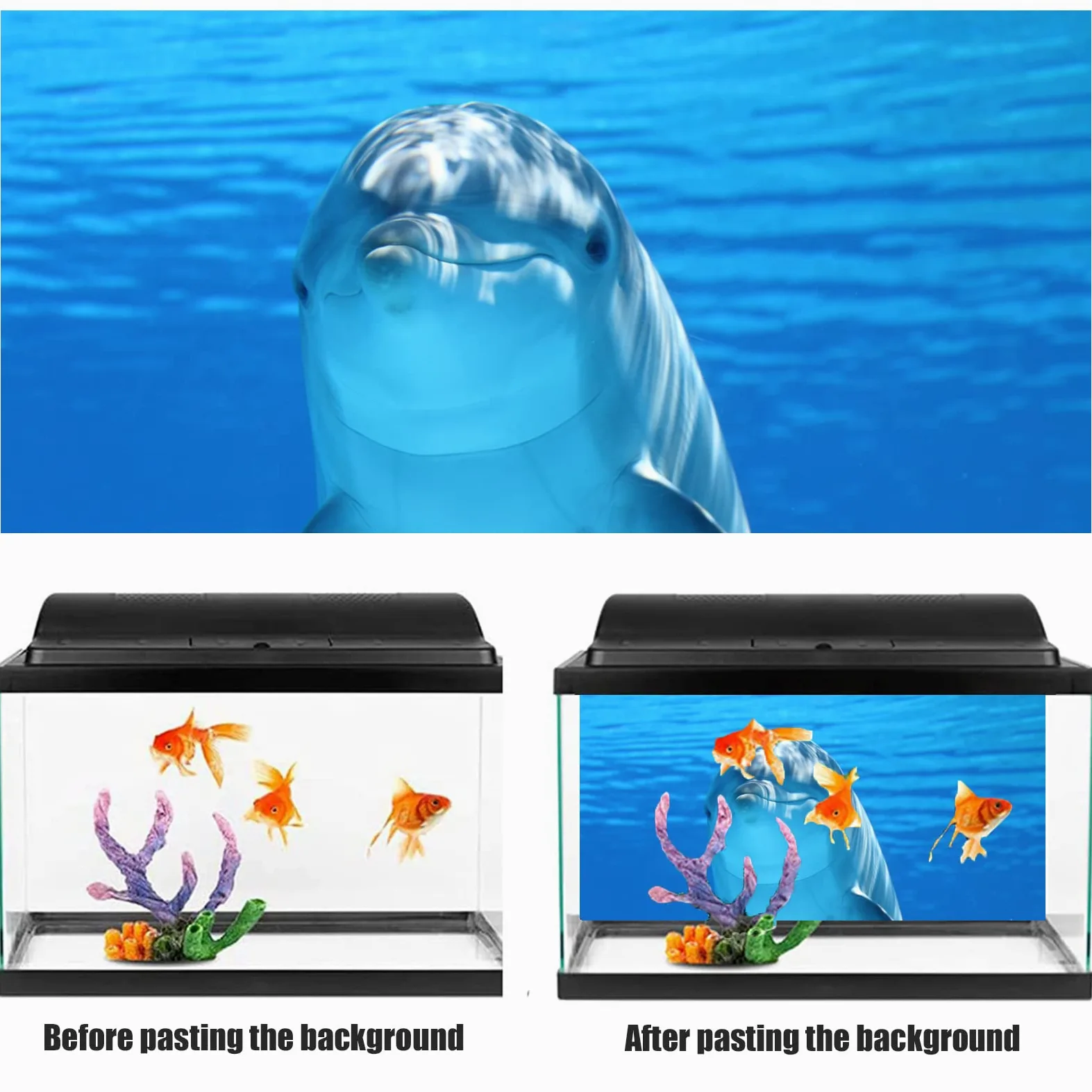 NIMOSA Adesivo sfondo acquario, adesivo per acquario, sfondo acquario, delfini oceanici in PVC, sfondo acquario, poster subacqueo, decorazione murale, 122 x 76 cm